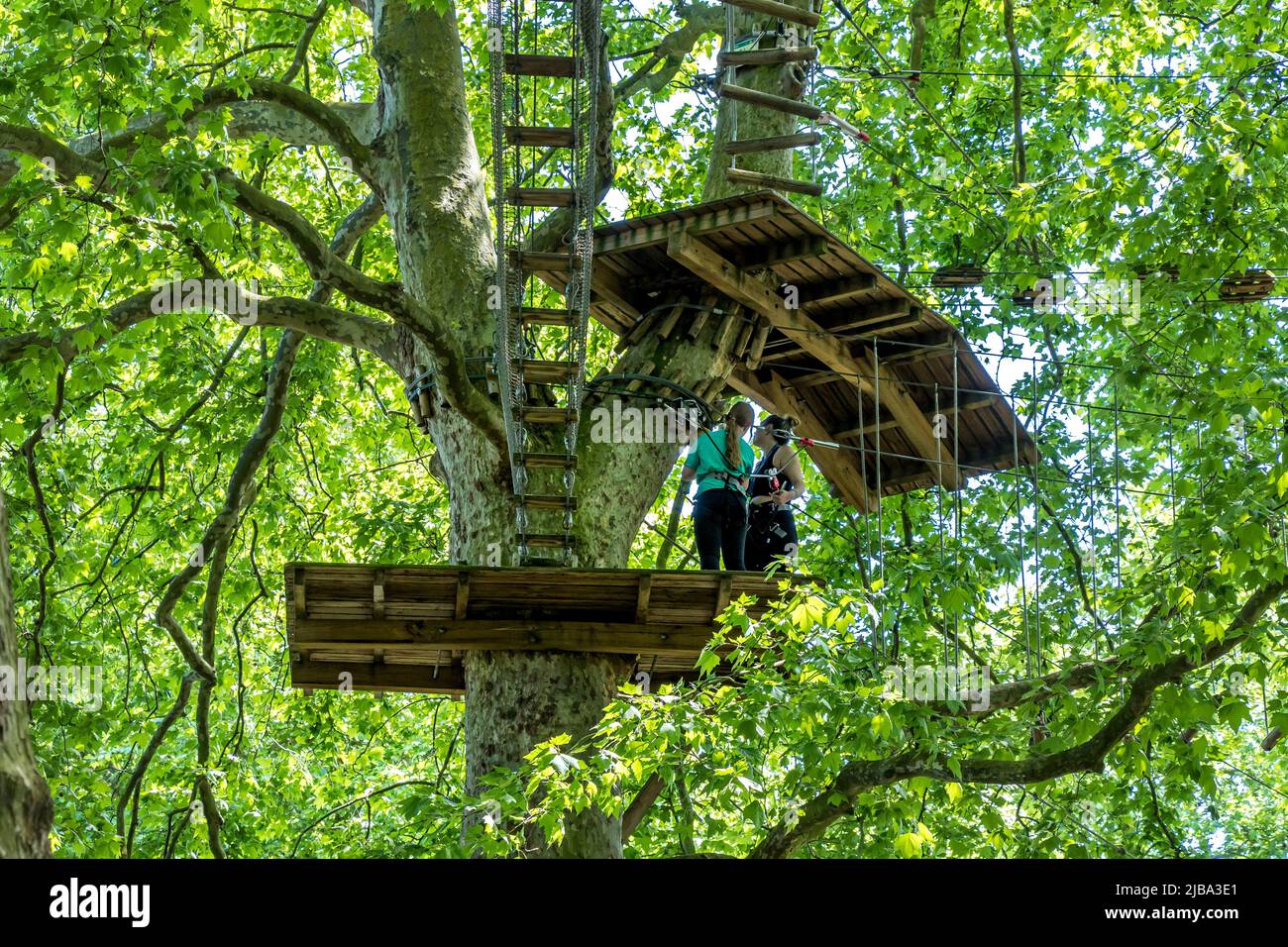 Gente alta en los árboles usando cuerdas altas en la actividad de aventura al aire libre en la cima del árbol Go Ape en Battersea Park , Londres SW11, Reino Unido Foto de stock