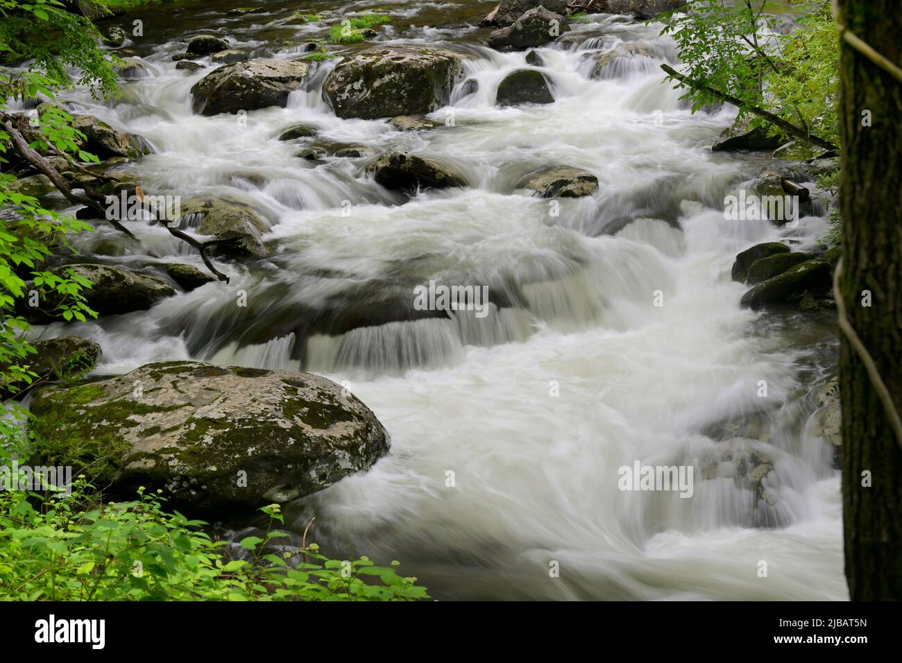 Cascadas en el río Pigeon en Great Smoky Mountains, TN, Estados Unidos a principios de la primavera Foto de stock