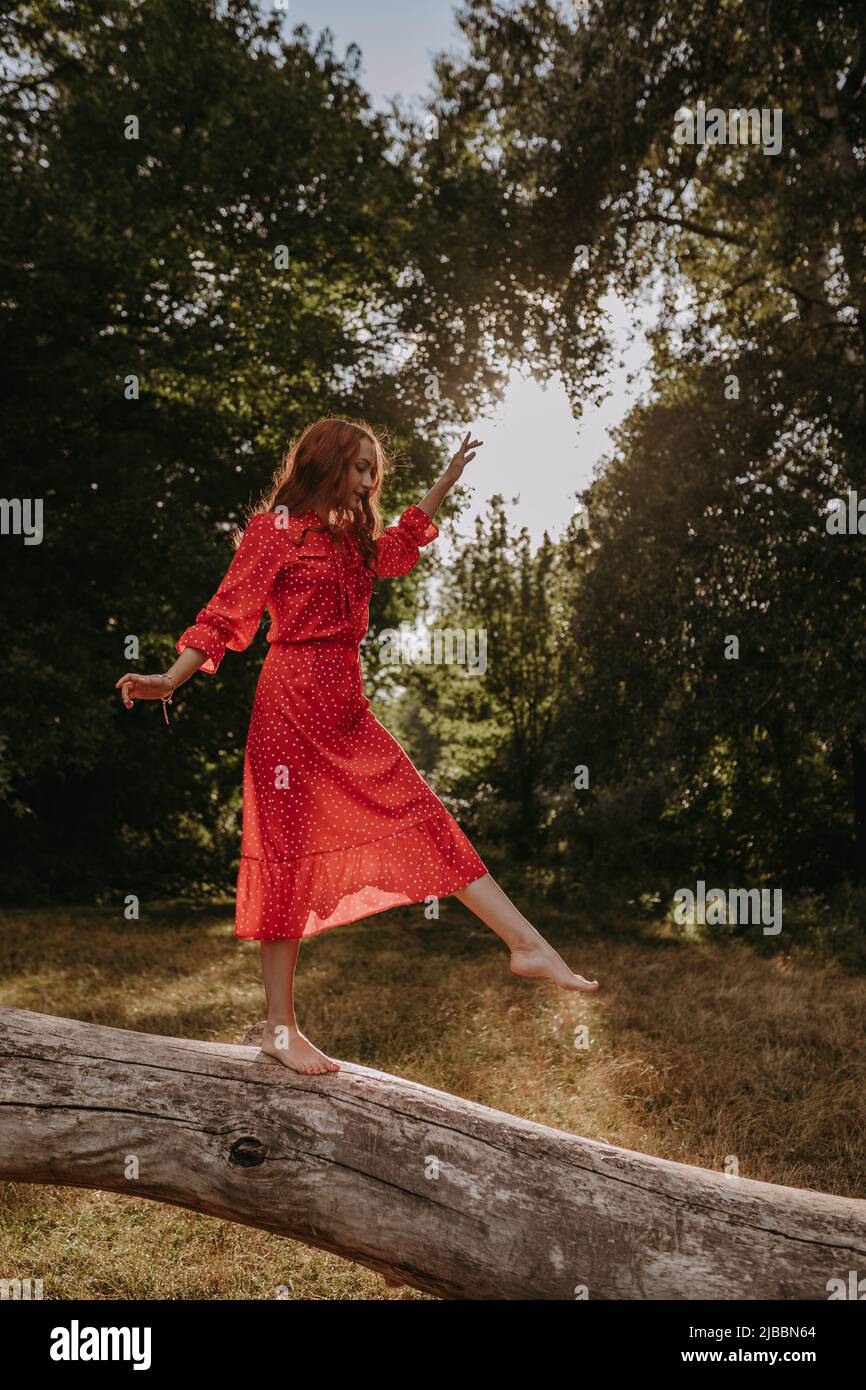 Mujer joven pelirroja de verano rojo vestido de campo equilibrio y baile en un árbol caído seco en el medio del bosque Foto de stock