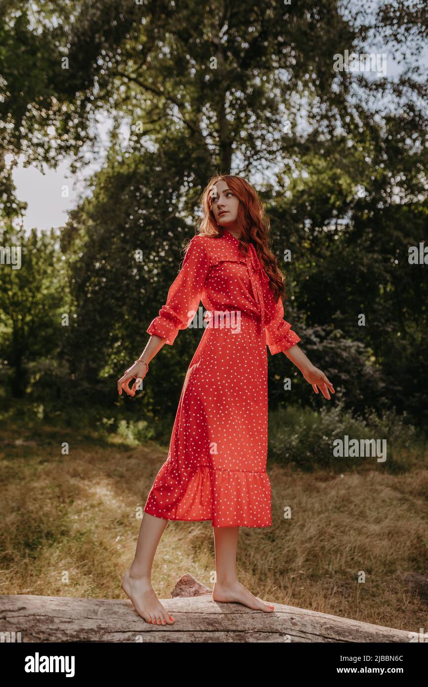 Mujer joven de pelirroja en el país rojo del verano vestido de pie y el equilibrio en un árbol caído seco en el medio del bosque Foto de stock