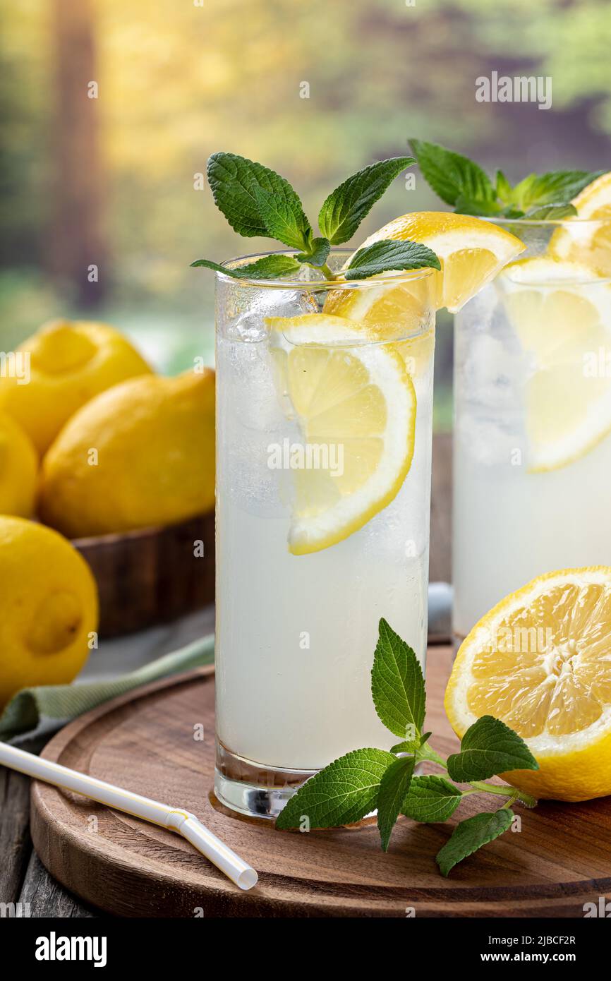 Dos vasos de limonada fría con rodajas de limón, menta y cubitos de hielo en una fuente de woodrn con fondo rural Foto de stock