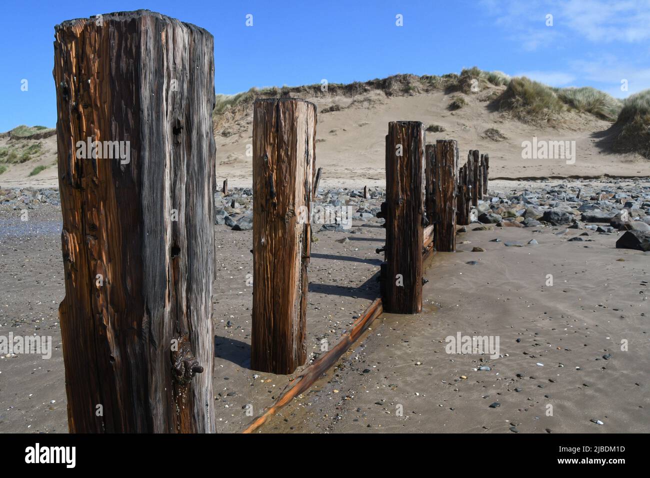 Postes de madera, los restos de los gromos en la playa, destruidos por el mar en la costa norte de Devon entre el sistema de dunas de Braunton Burrows. Foto de stock