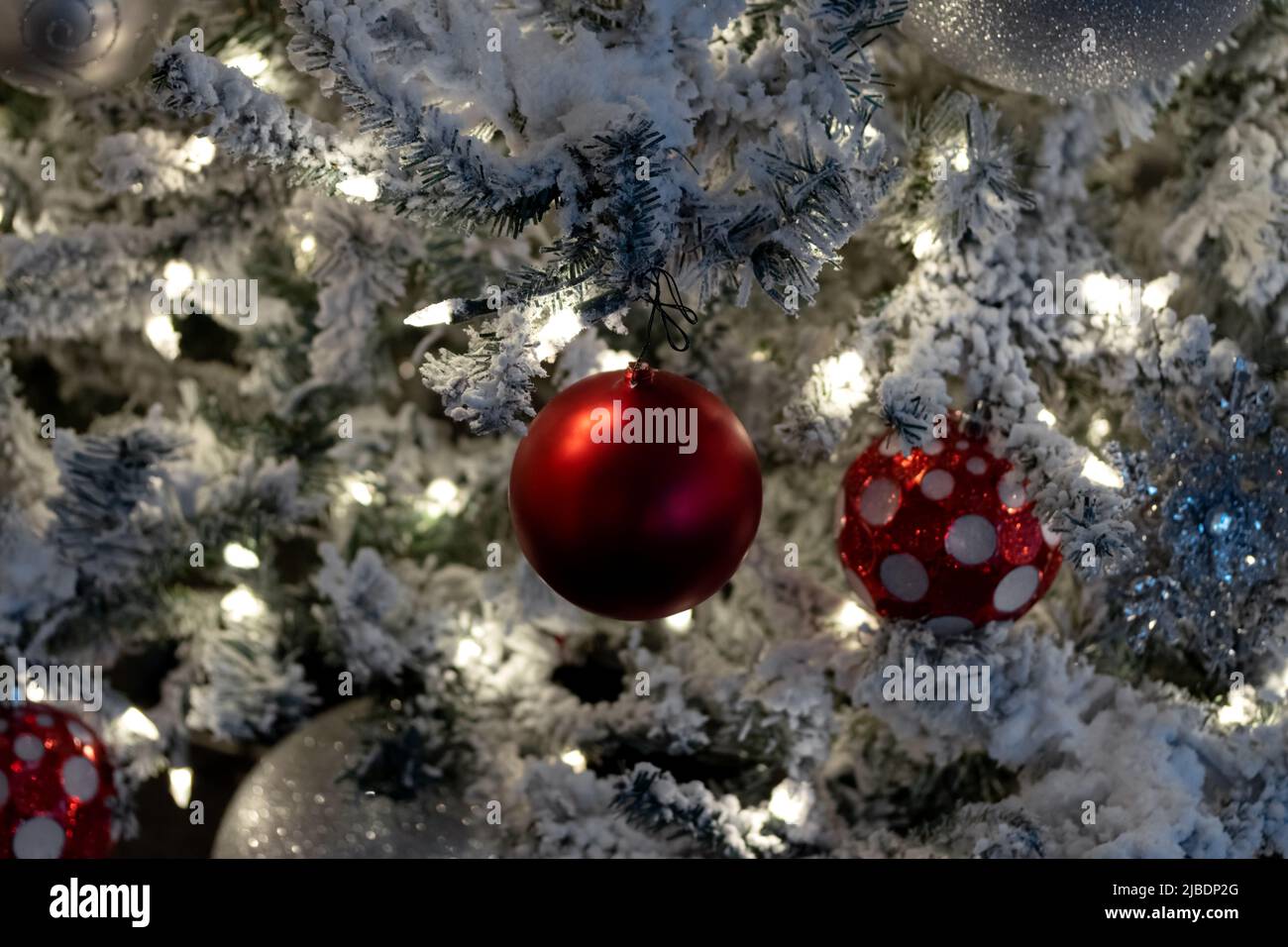 primer plano decoración de navidad escena, luces blancas en el árbol cubierto de nieve con bolas de navidad rojo y blanco, festiva escena de vacaciones Foto de stock
