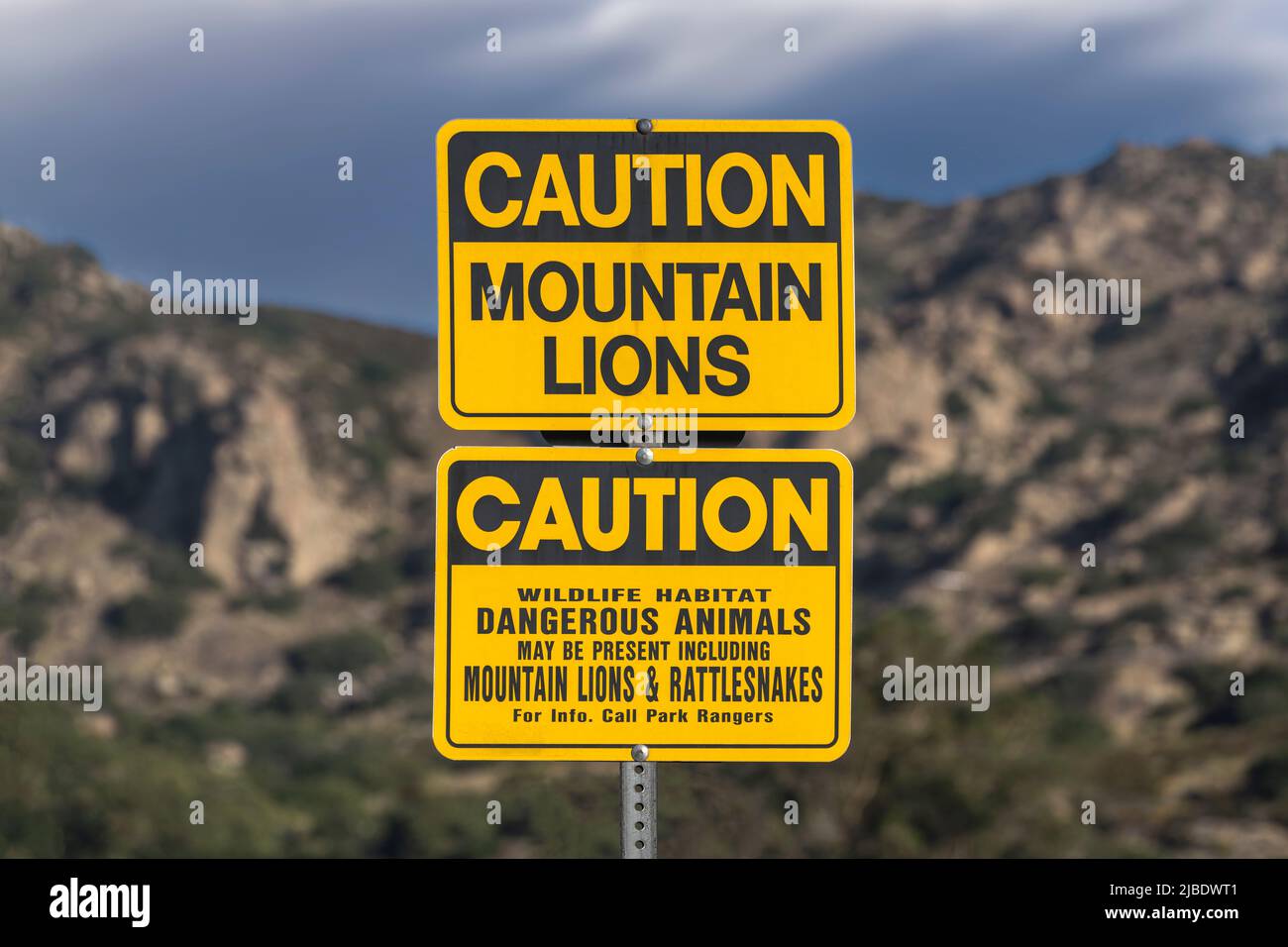 Precaución Signo de Mountain Lions en el área de naturaleza Chatsworth Park South en el sur de California. Foto de stock