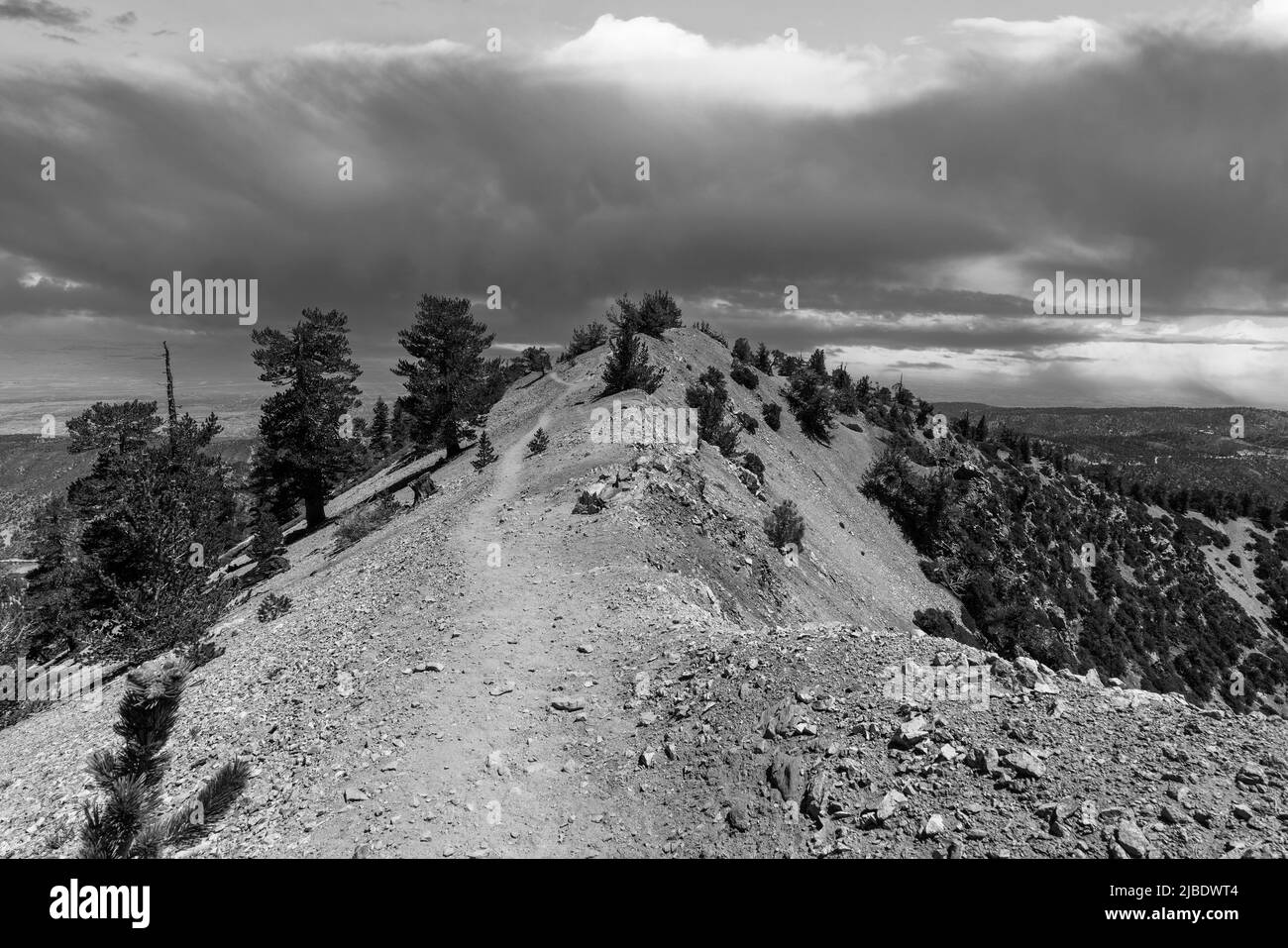 Vista en blanco y negro de las nubes de tormentas de verano a lo largo de la ruta Pacific Crest cerca del Monte Baden-Powell en las montañas de San Gabriel en el condado de Los Ángeles. Foto de stock