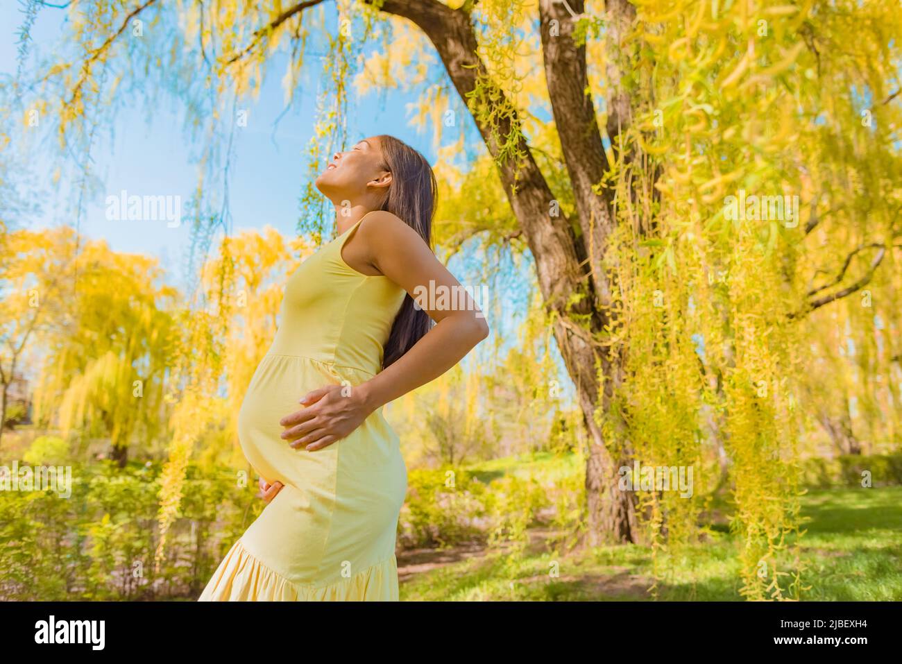 Mujer embarazada sana respirando aire limpio durante el embarazo en la naturaleza fresca del bosque de primavera. Chica asiática que sostiene esperando tummy en la felicidad y. Foto de stock