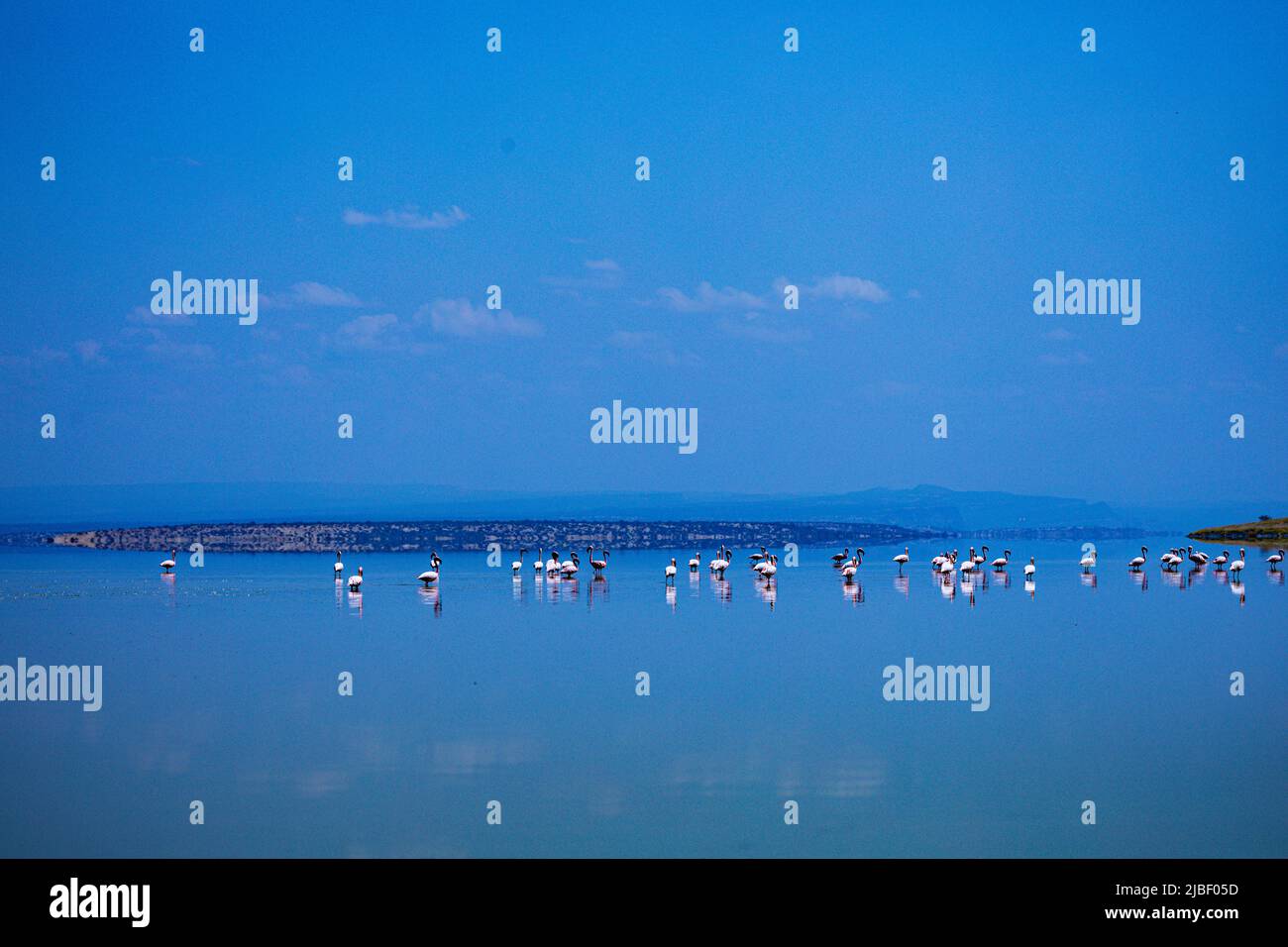 El lago Magadi es el lago más meridional del valle del Rift de Kenia, ubicado en una cuenca de rocas volcánicas rocosas, al norte de Tanzania Foto de stock