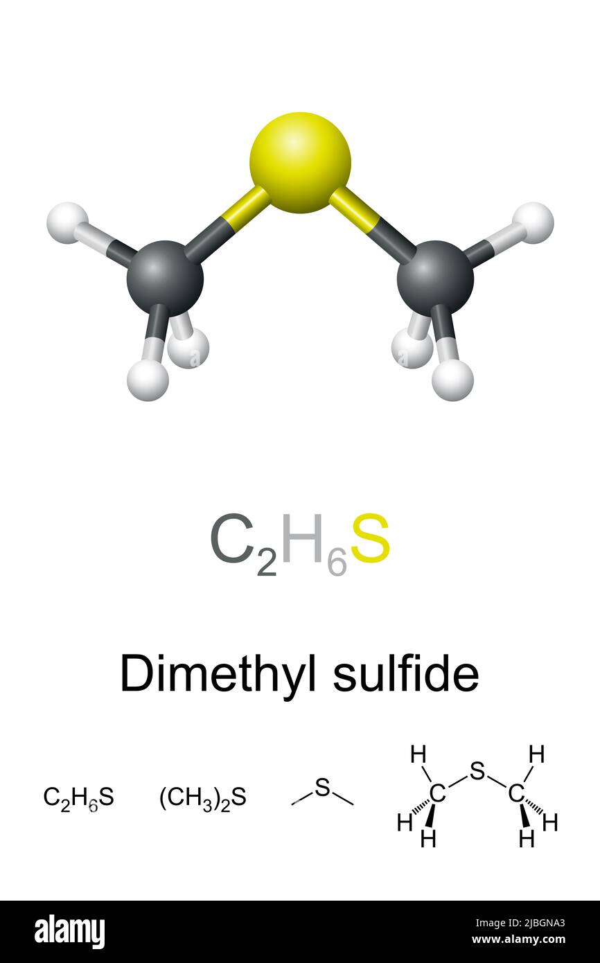 Dimetilsulfuro, DMS, fórmula química y modelo de molécula. Metiltiometano, compuesto organoazufre de olor desagradable característico. Foto de stock