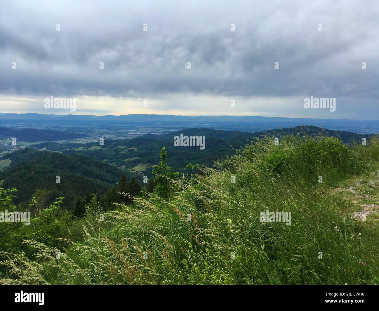 Blick über die Ortenau in Richtung Elsaß und Vogesen Foto de stock