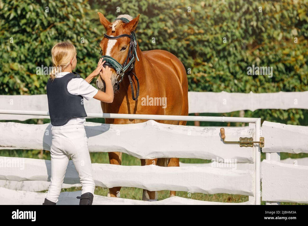 Joven hermosa chica en el equipo de equitación con caballo, que alcanzar para acariciar su caballo en la nariz. Foto de stock