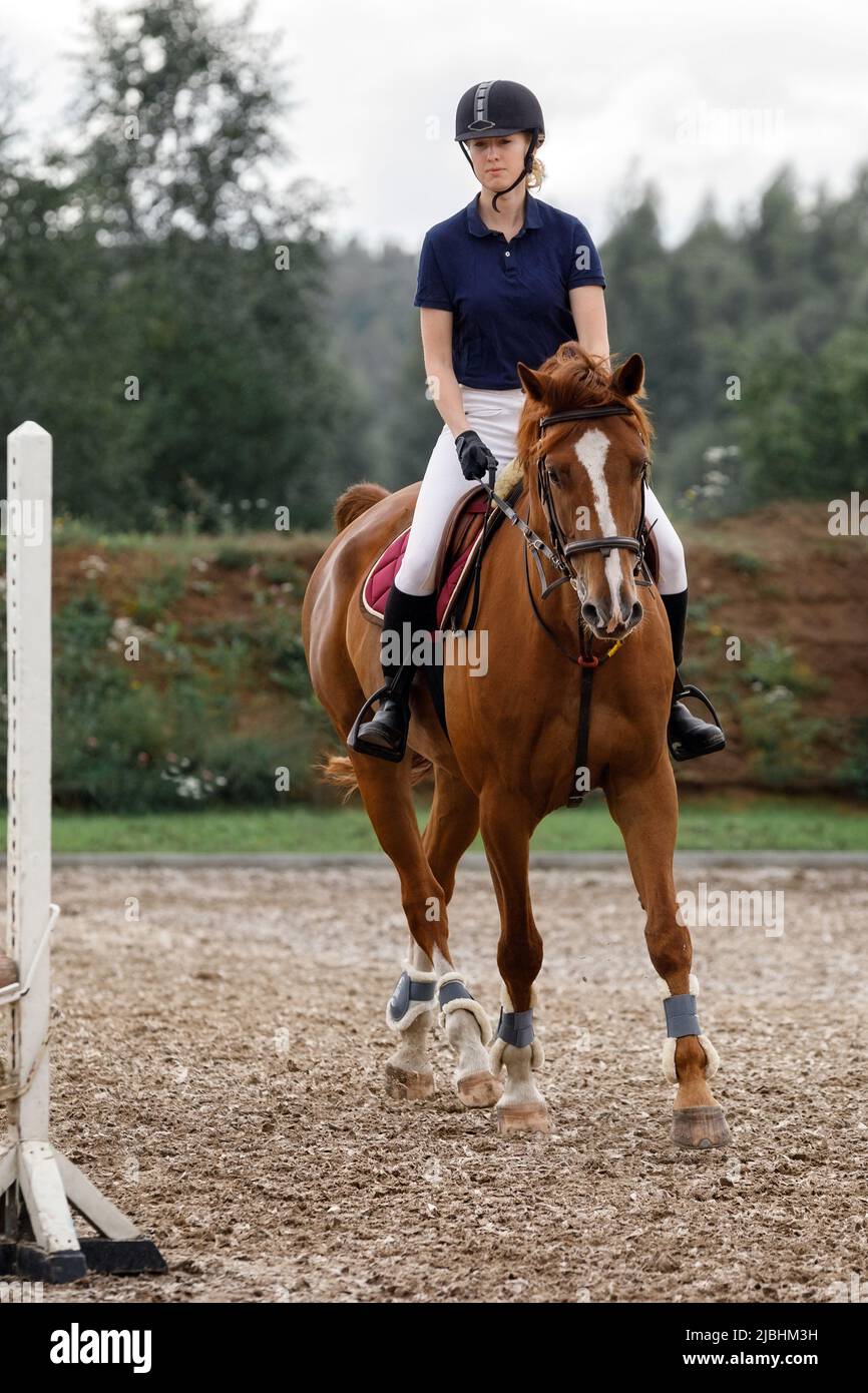 Una niña en forma de jinete monta un caballo en el hipódromo. Clases de equitación, paseos a caballo. Foto de stock