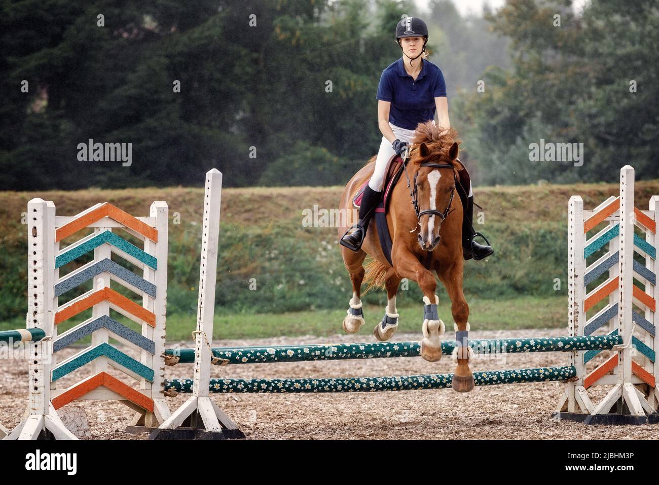 Jovencita jinete de caballo saltando sobre una barrera en el curso de salto de la demostración en la competición deportiva ecuestre. Foto de stock