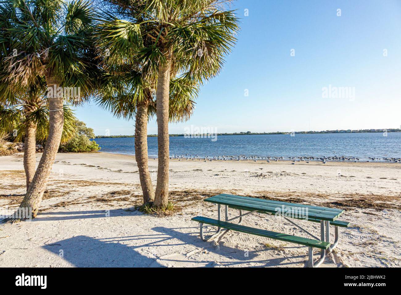 Florida New Port Richey, Green Key, Robert K Rees Memorial Park, Golfo de México, playa pública arena sabal palmeras palmeras palmeras Foto de stock