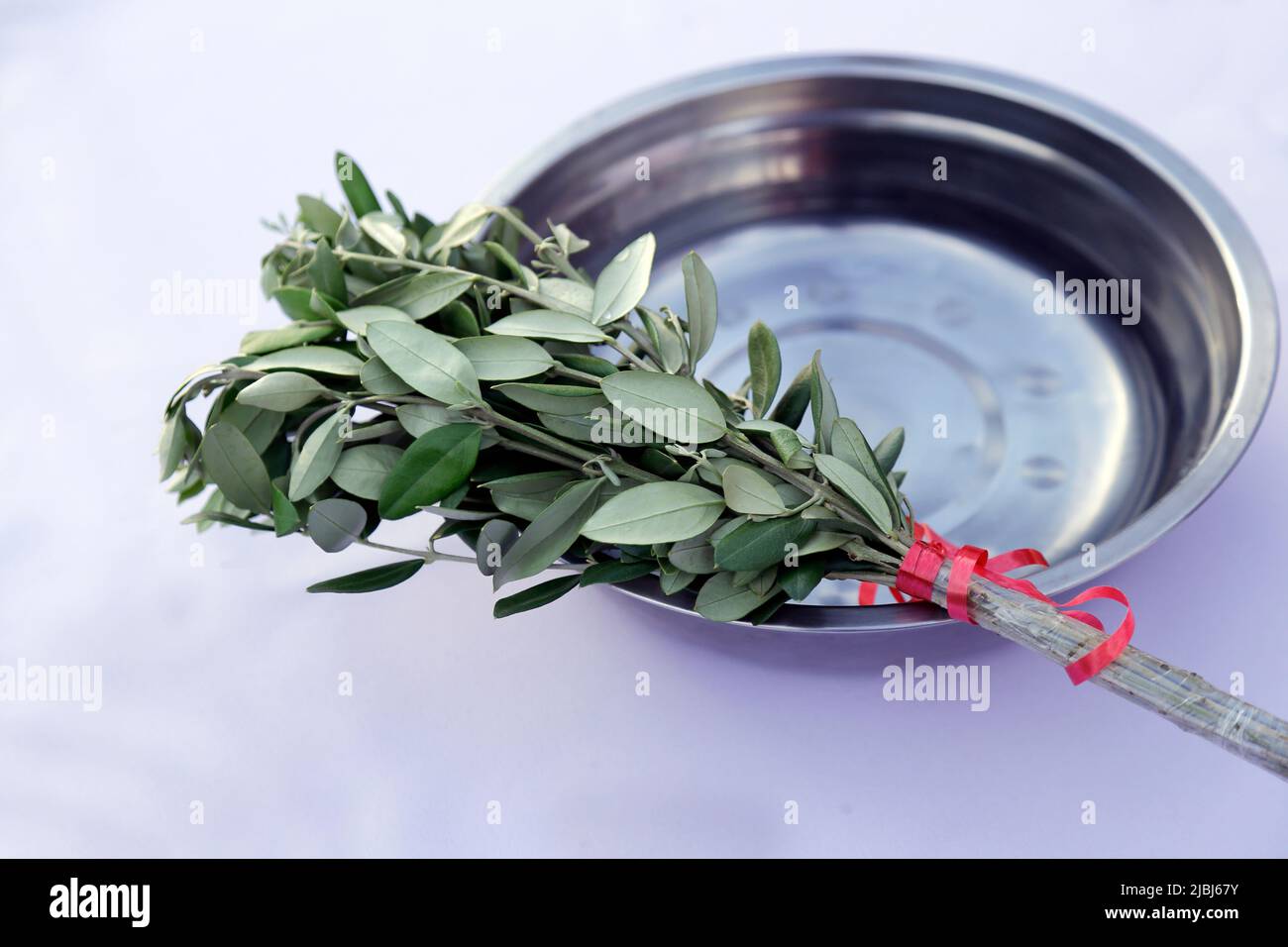 Semana Santa. Haz de ramas y lavabo con agua santa para espolvorear. Celebración católica tradicional Domingo de Ramos. Fe cristiana. Símbolo religioso. Foto de stock