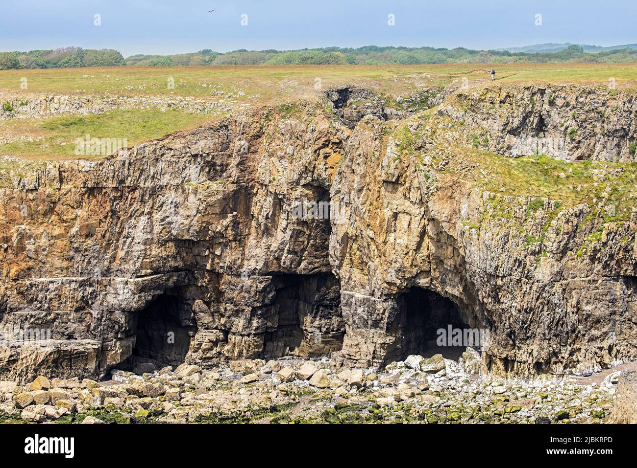 Cuevas marinas en los acantilados en la ruta costera de Pembrokeshire cerca de Bosherton, Gales, Reino Unido, con un hombre caminando en la cima Foto de stock