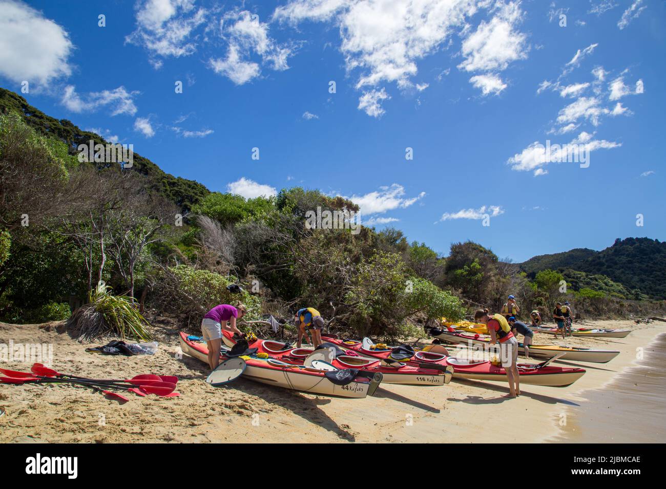 Kayak en el Parque Nacional Abel Tasman en Nueva Zelanda Foto de stock