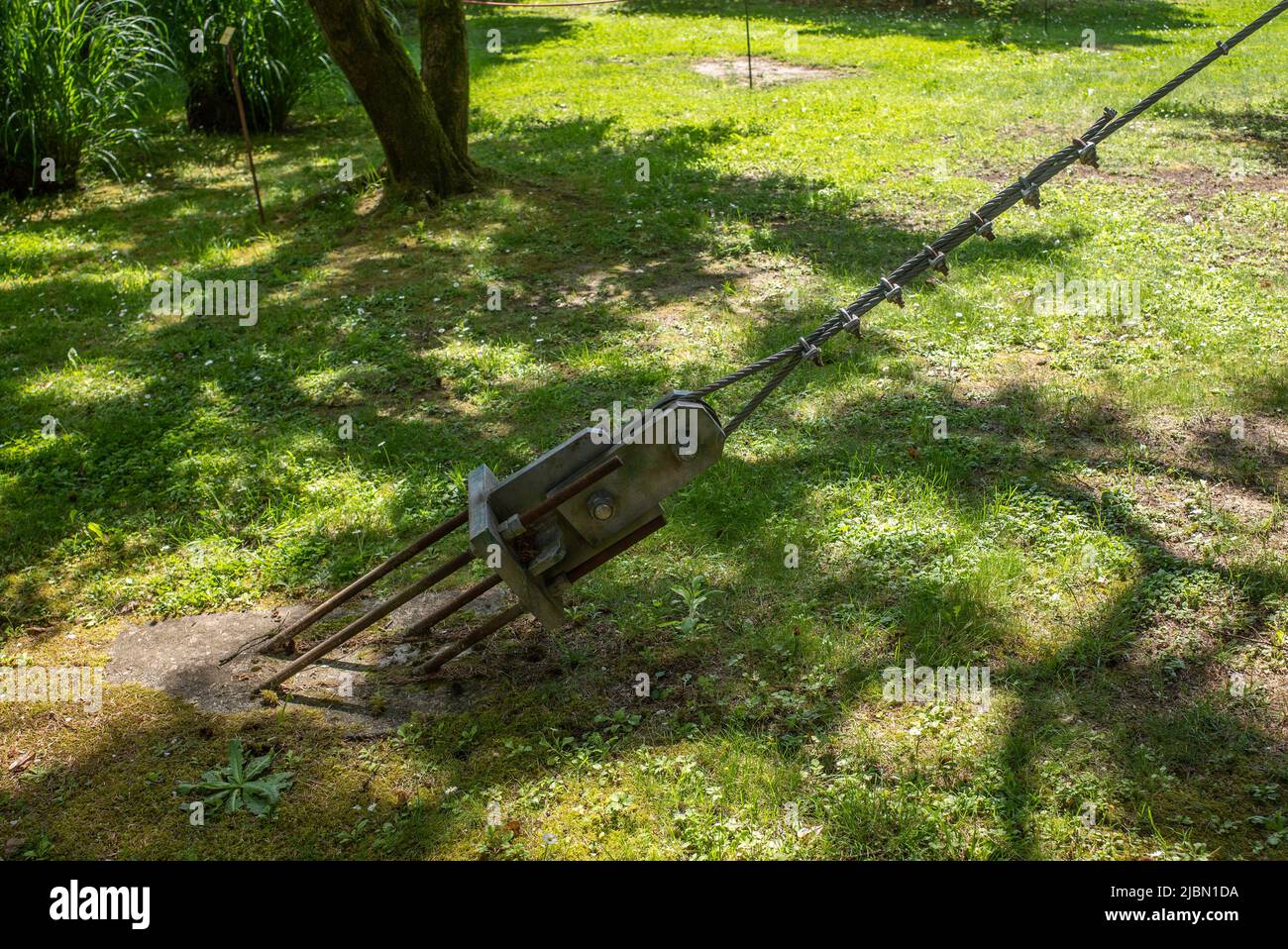 Soporte de árbol de alambre anclado en el suelo con hormigón y cuatro pernos en el terreno del parque. Foto de stock