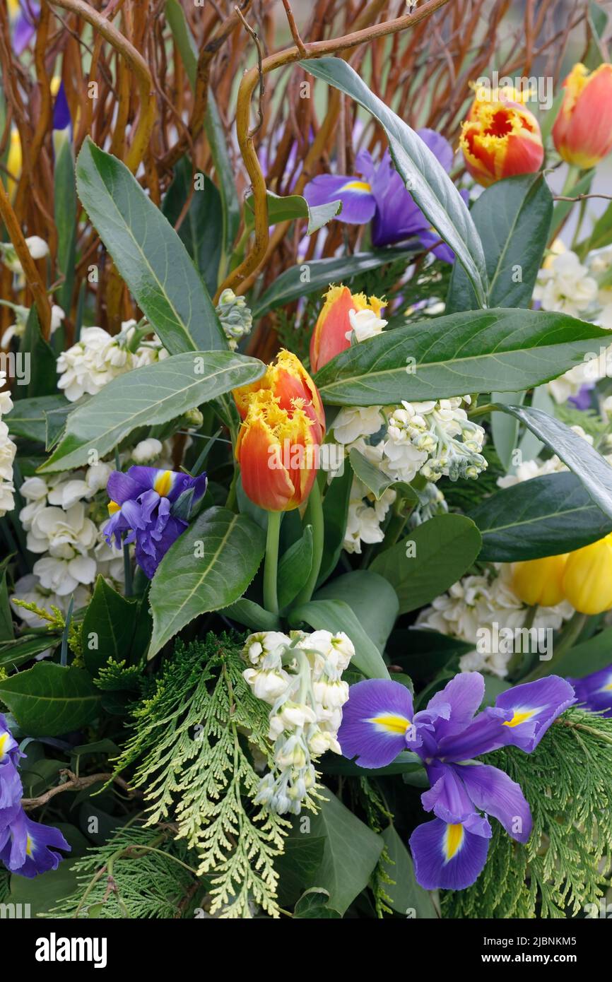 Exposición decorativa de flores en Malvern Spring Show. Foto de stock