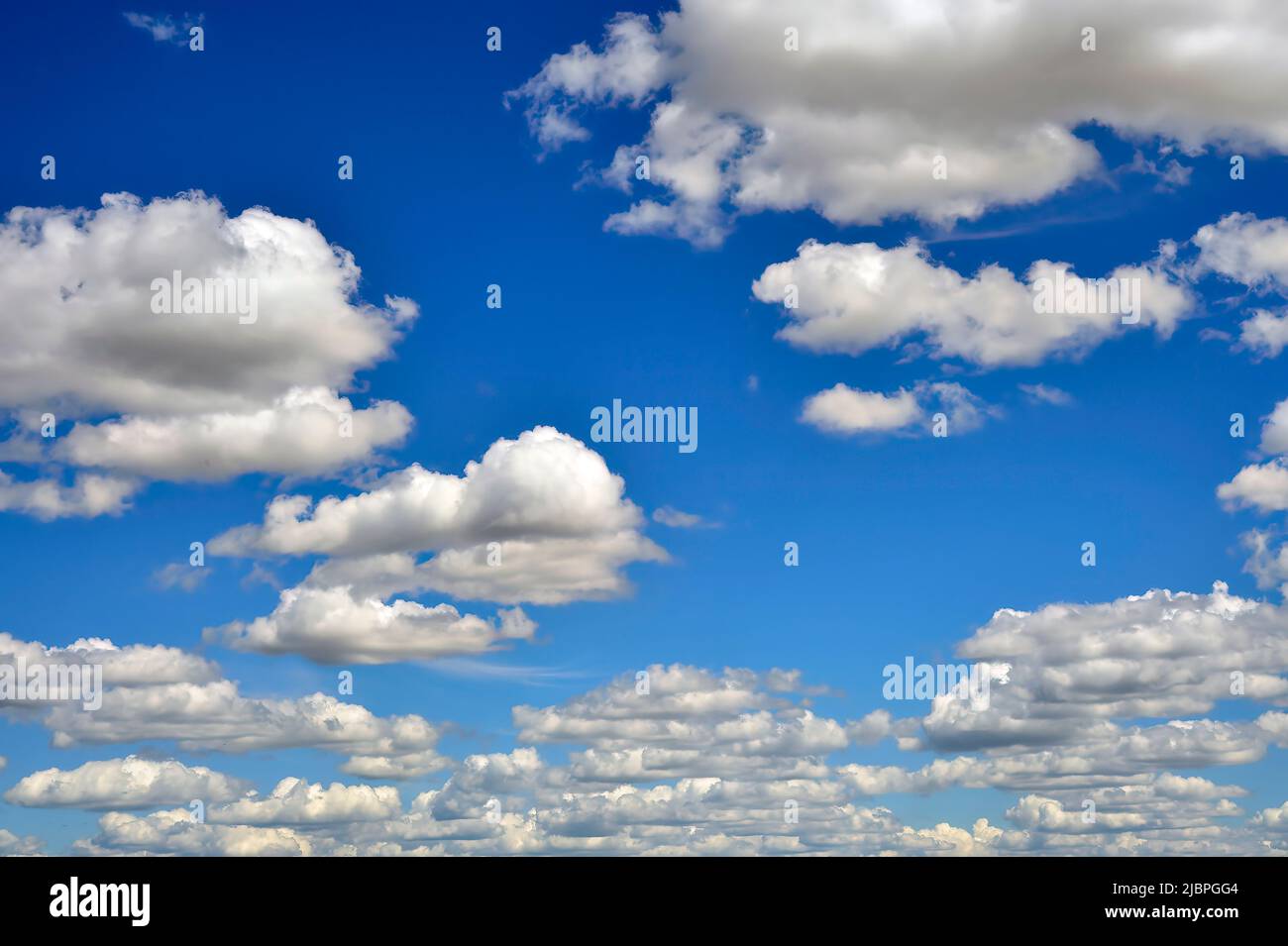 Nubes hinchadas blancas flotando sobre un cielo azul en la zona rural de Alberta, Canadá Foto de stock