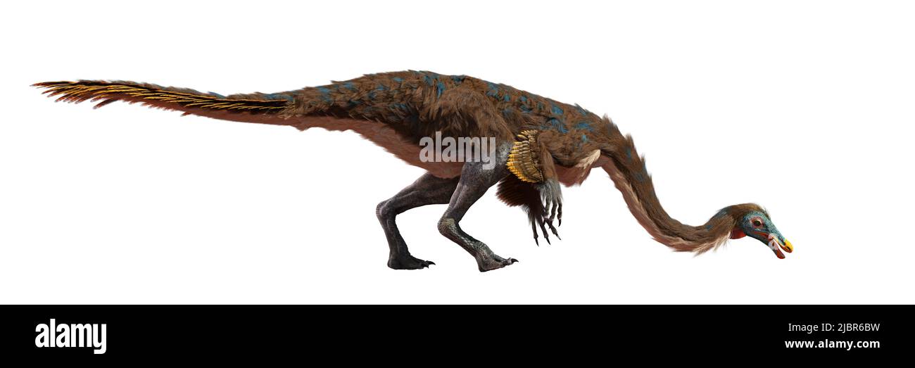 Gallimimimo, dinosaurio terópodo emplumado que vivió durante el período Cretácico tardío, aislado sobre una bandera blanca de fondo Foto de stock