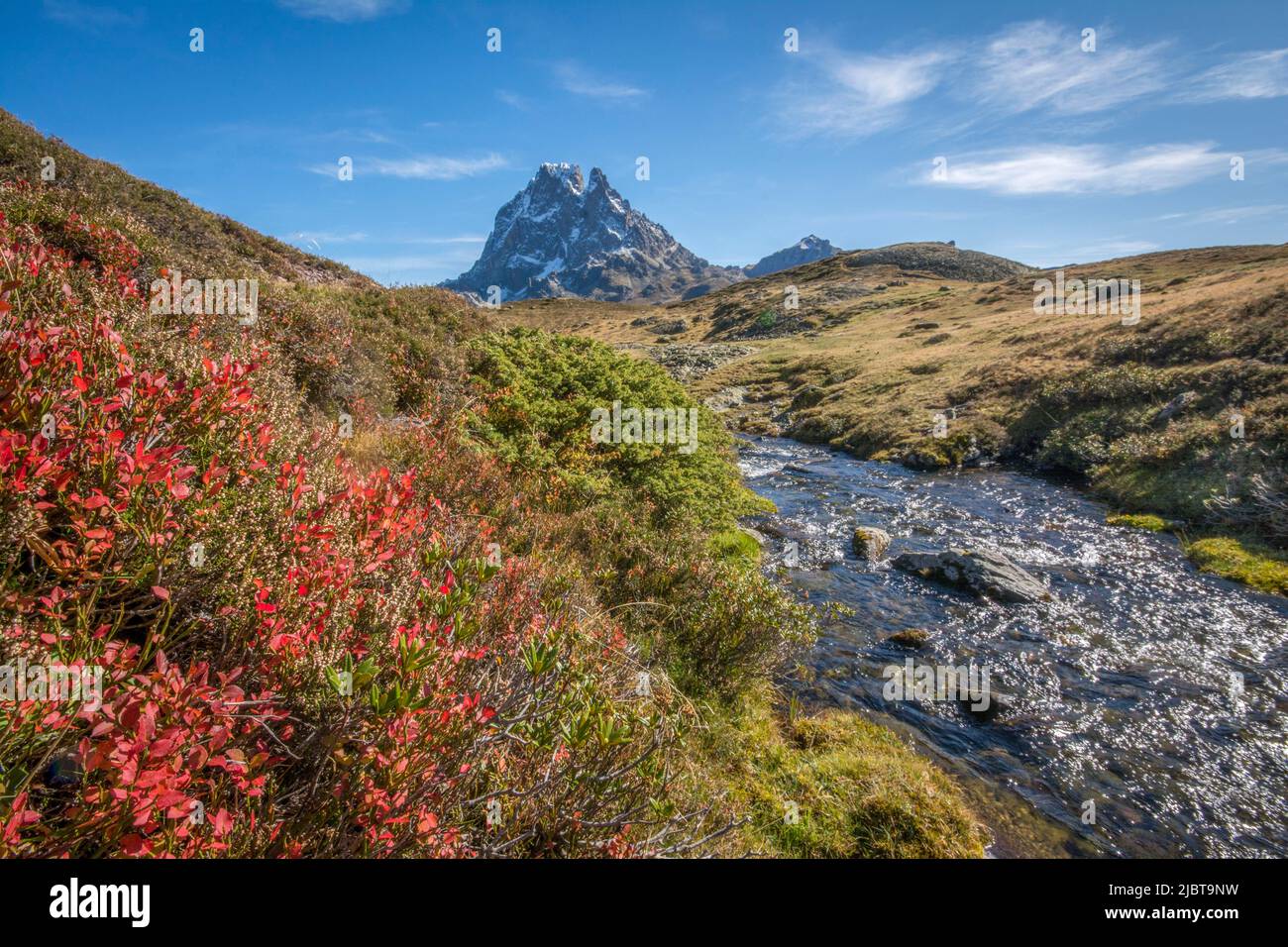 Francia, Pirineos Atlánticos, Bearn, el valle de Ossau, el color rojo de los arándanos en otoño, el río y Pic du Midi d'Ossau en las primeras nevadas Foto de stock