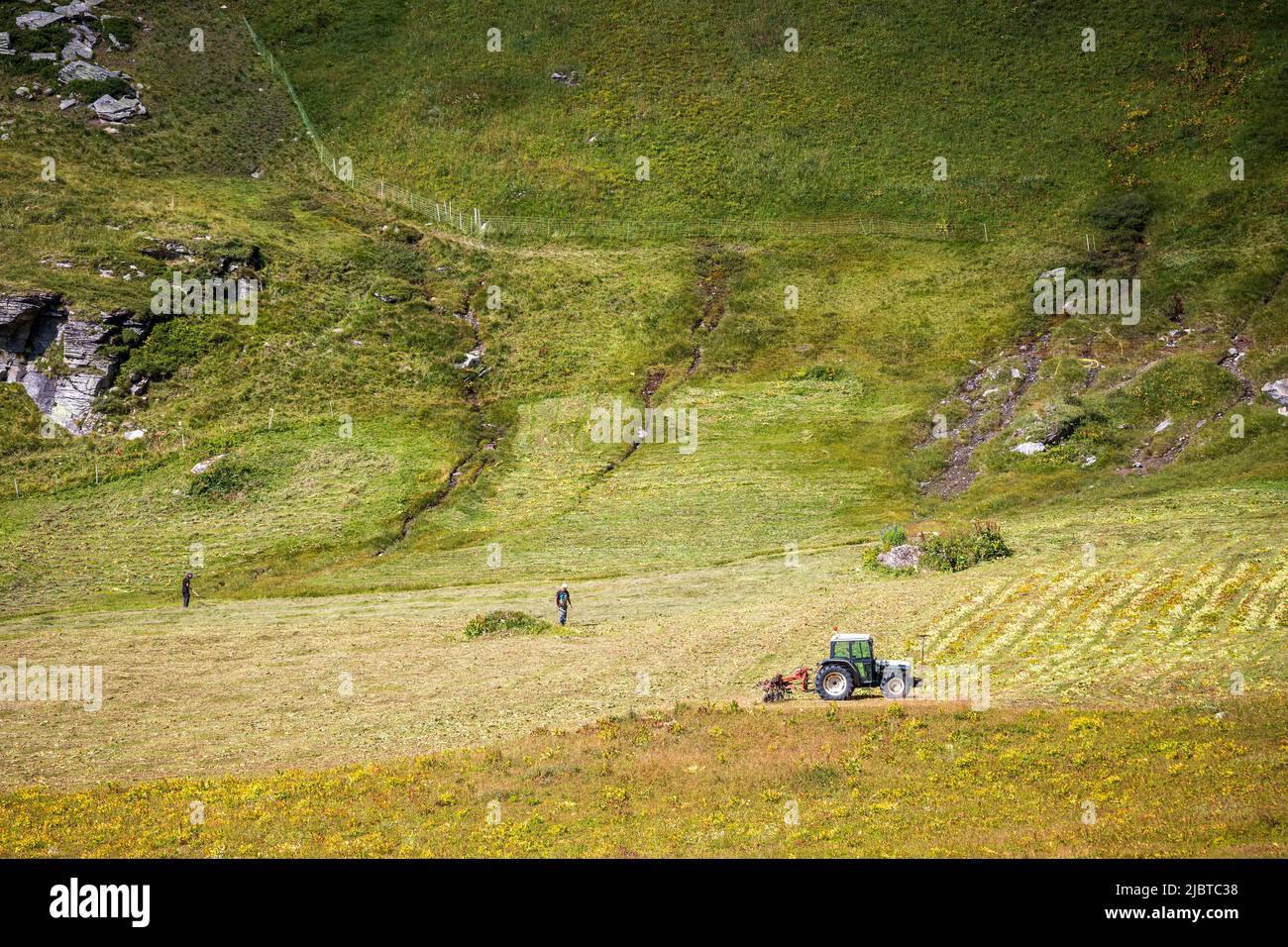 Francia, Saboya, Vanoise Parque Nacional, Bonneval-sur-Arc, Lenta valle, los agricultores regresan la hierba segada a un campo Foto de stock