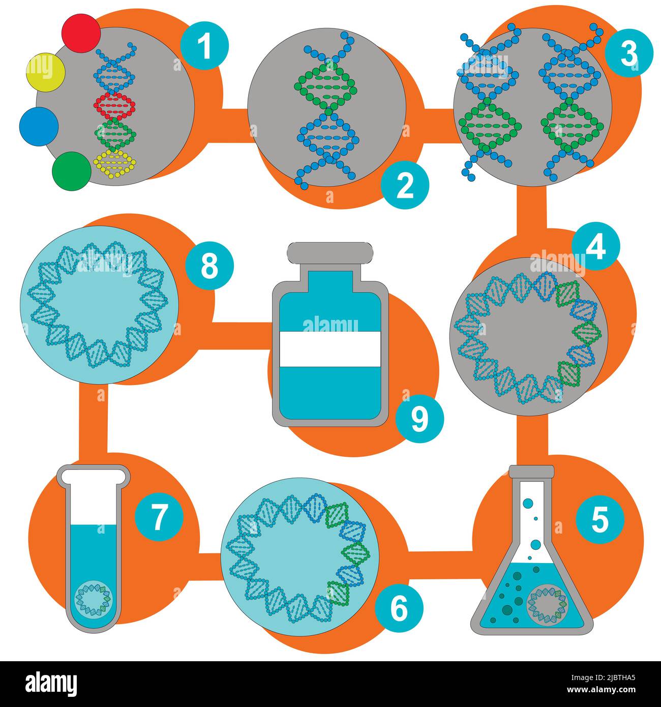 Plan para la producción de una vacuna para un virus genético. Una simple ilustración de la secuencia de transformar un virus peligroso en un medicamento. Ilustración del Vector
