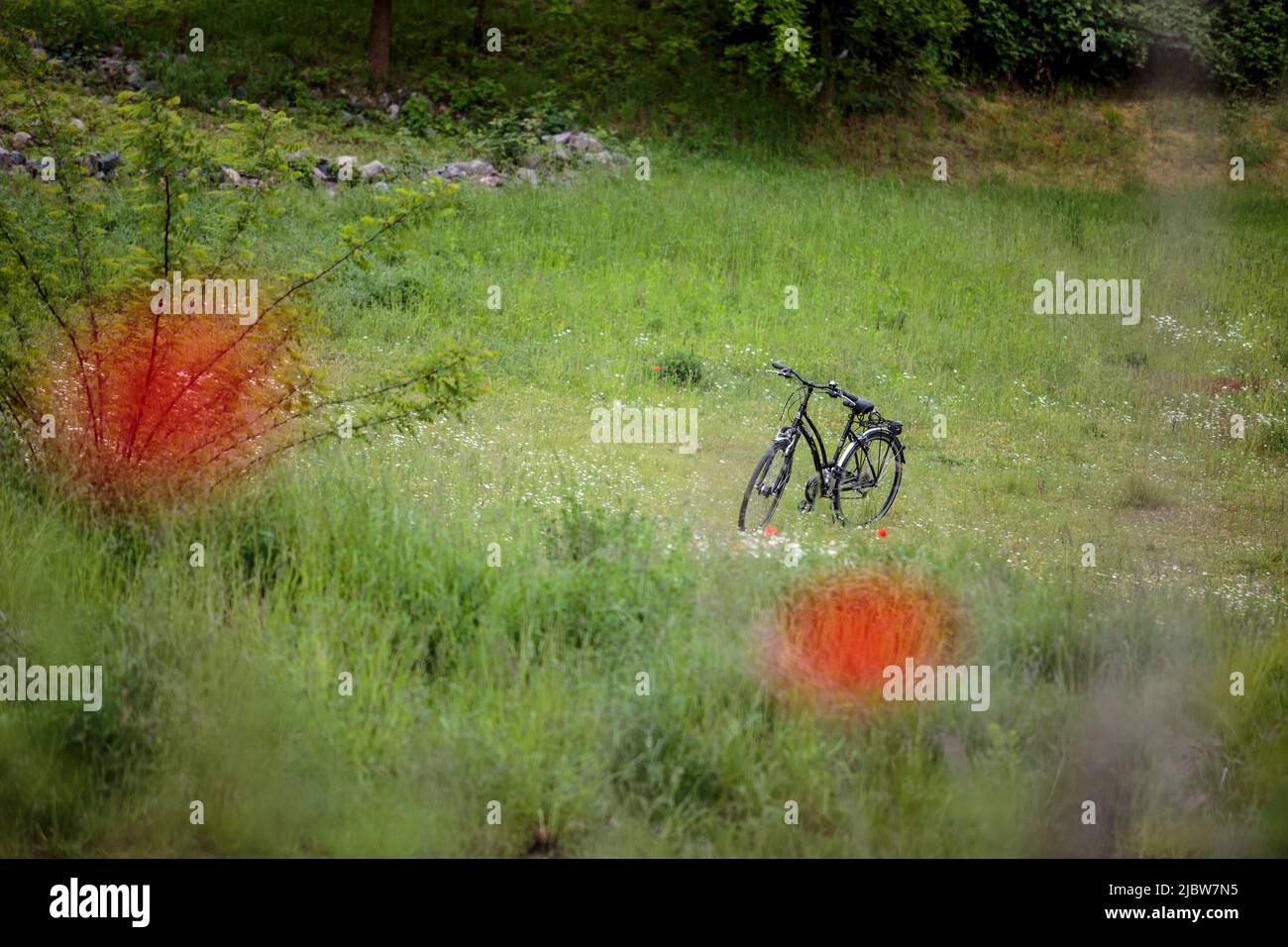 Paisaje al aire libre con bicicleta en el prado a principios de verano Foto de stock