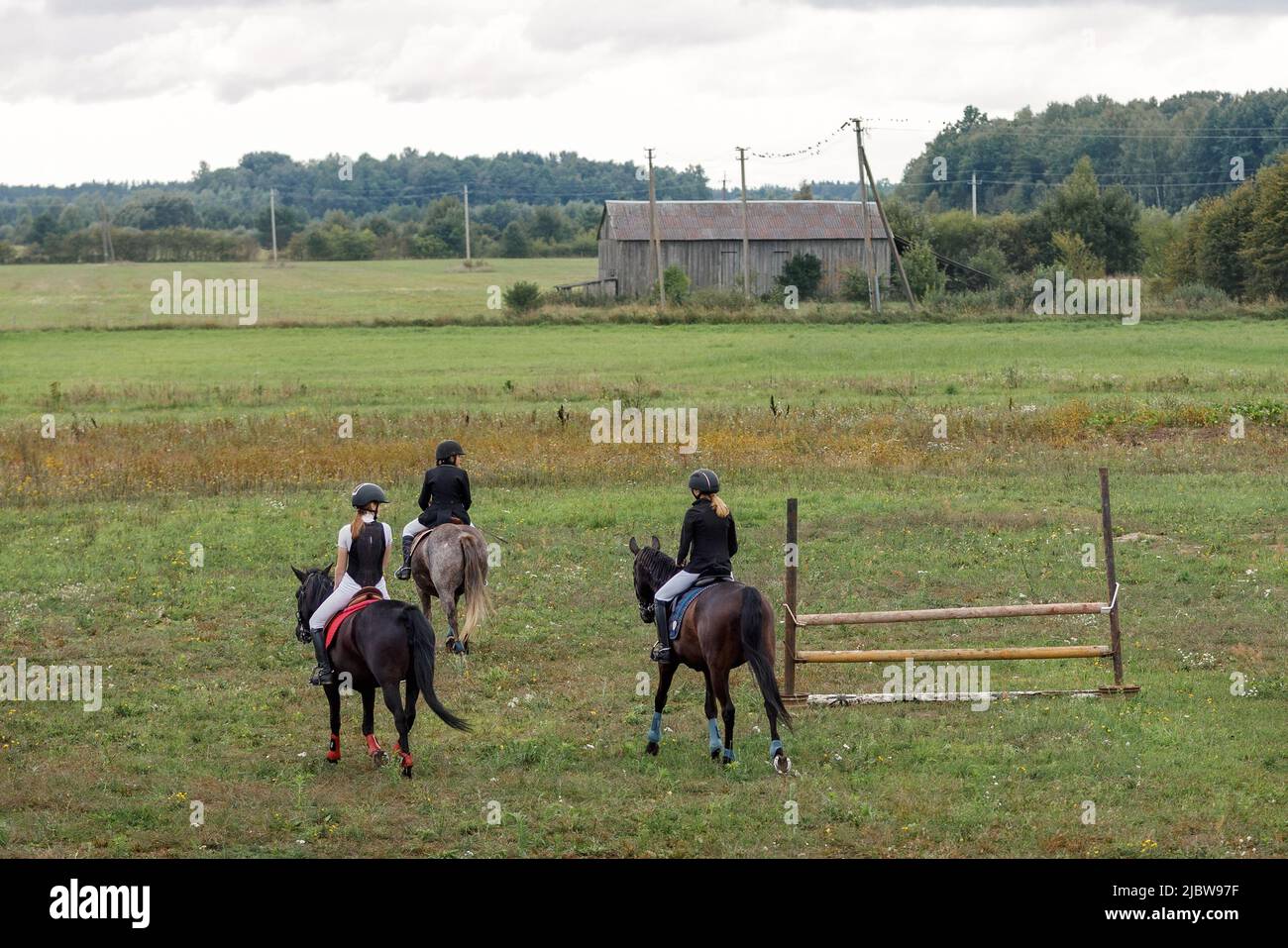 Chicas jóvenes montando caballos sin tripulación en el campo. Equitación, entrenamiento y rehabilitación. Foto de stock