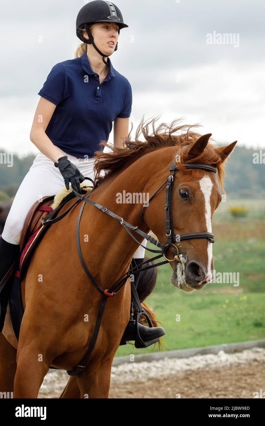 Una niña con casco monta a caballo en una competición de equitación. Retrato de cerca a gran velocidad y movimiento a caballo. Foto de stock