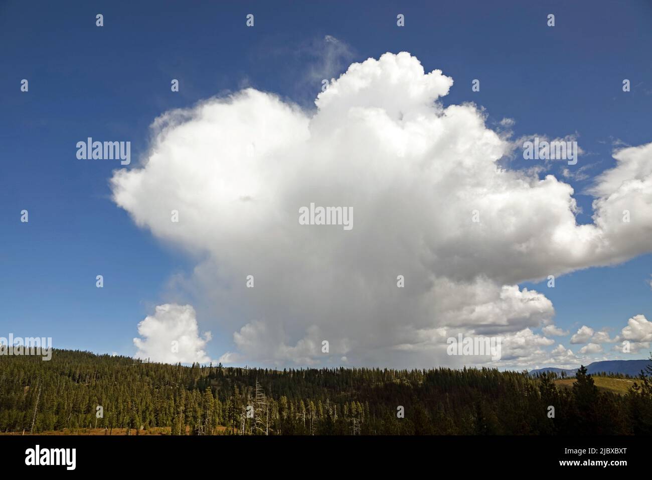 Una gigantesca nube de tormenta cumulo-nimbus se forma sobre las Montañas Cascade en el centro de Oregón. Foto de stock