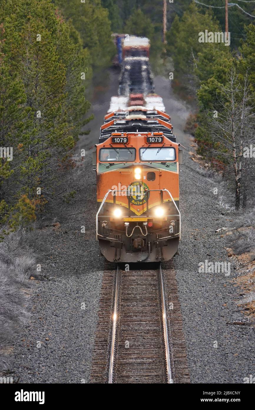 Una locomotora Burlington Northern Santa Fe tira de un tren de carga de 100 coches en dirección sur hacia California, desde Bend, Oregón, a través del Bosque Nacional Deschutes. Foto de stock