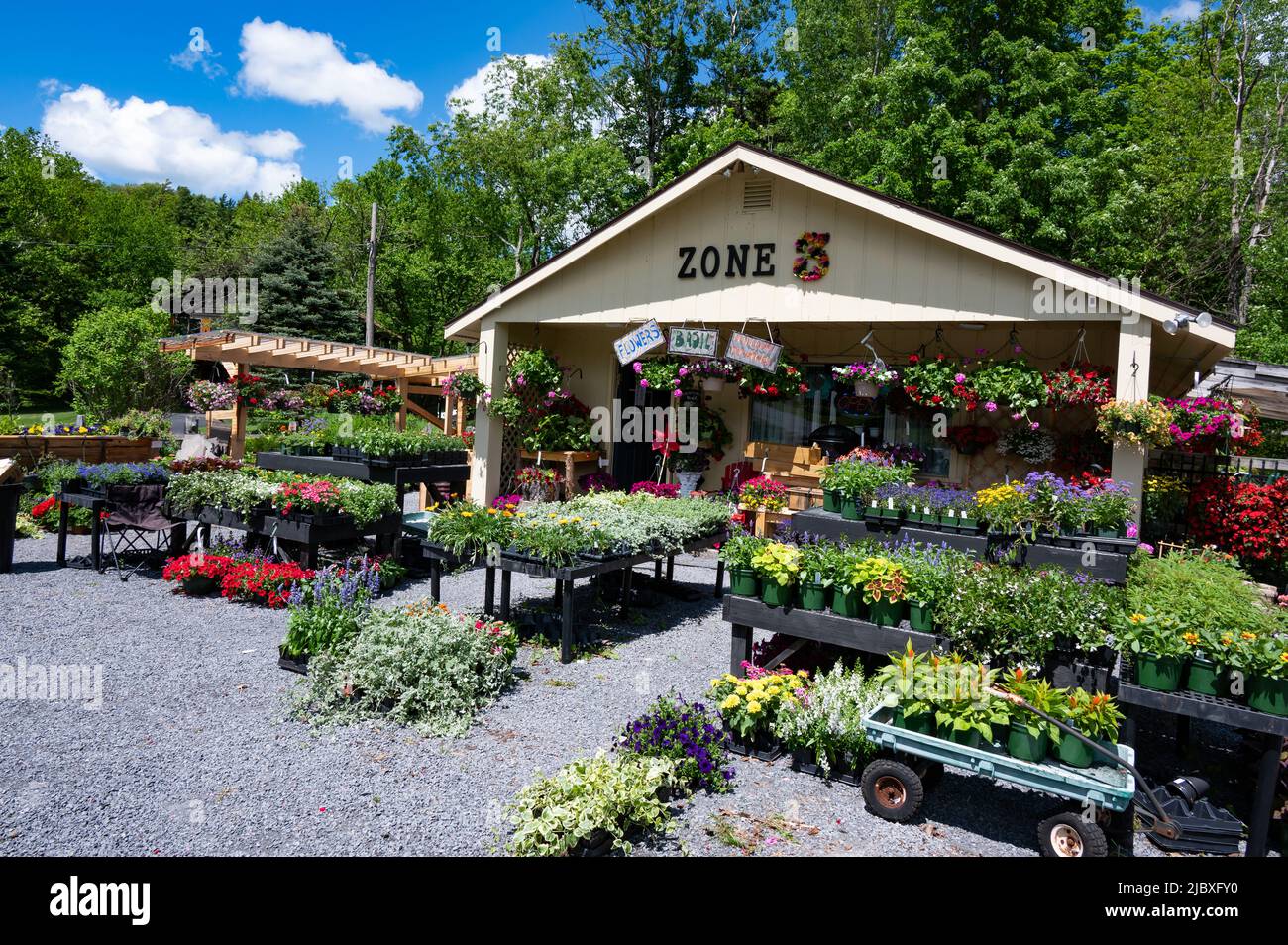 El paisaje de la zona 3 en la entrada del centro de guardería, Nueva York, EE.UU. ofrecen abundantes plantas para el clima de Adirondack. Foto de stock