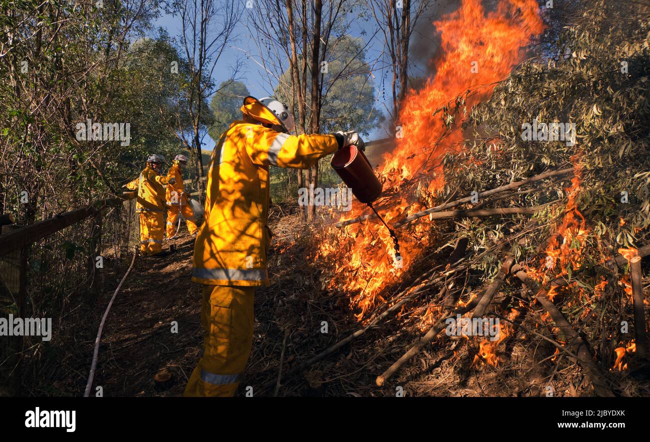 Tres bomberos de una brigada de bomberos rural, han vuelto a quemar matorrales en una propiedad rural australiana. Foto de stock