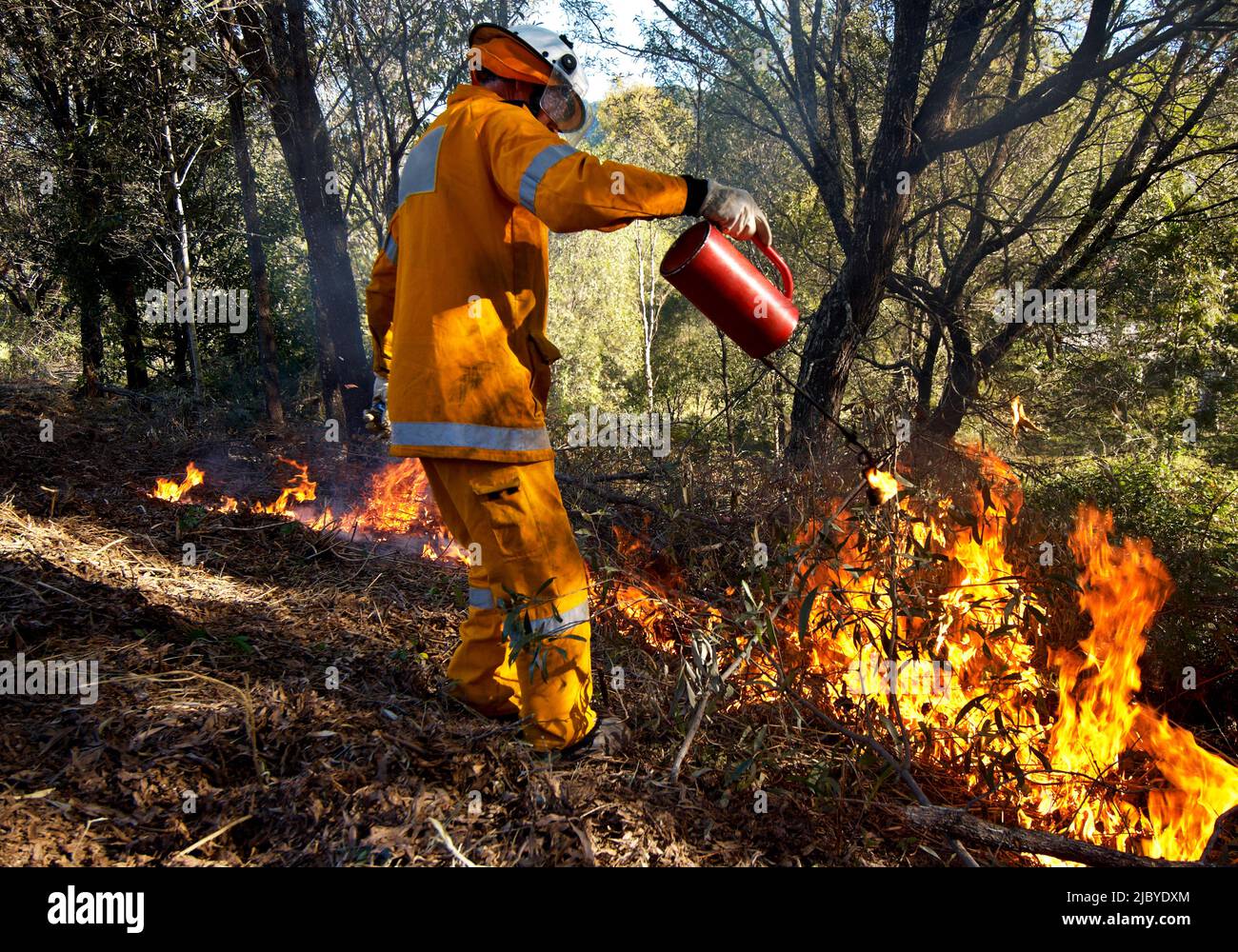 Bombero con ropa protectora detrás de piso de bosque ardiente Foto de stock