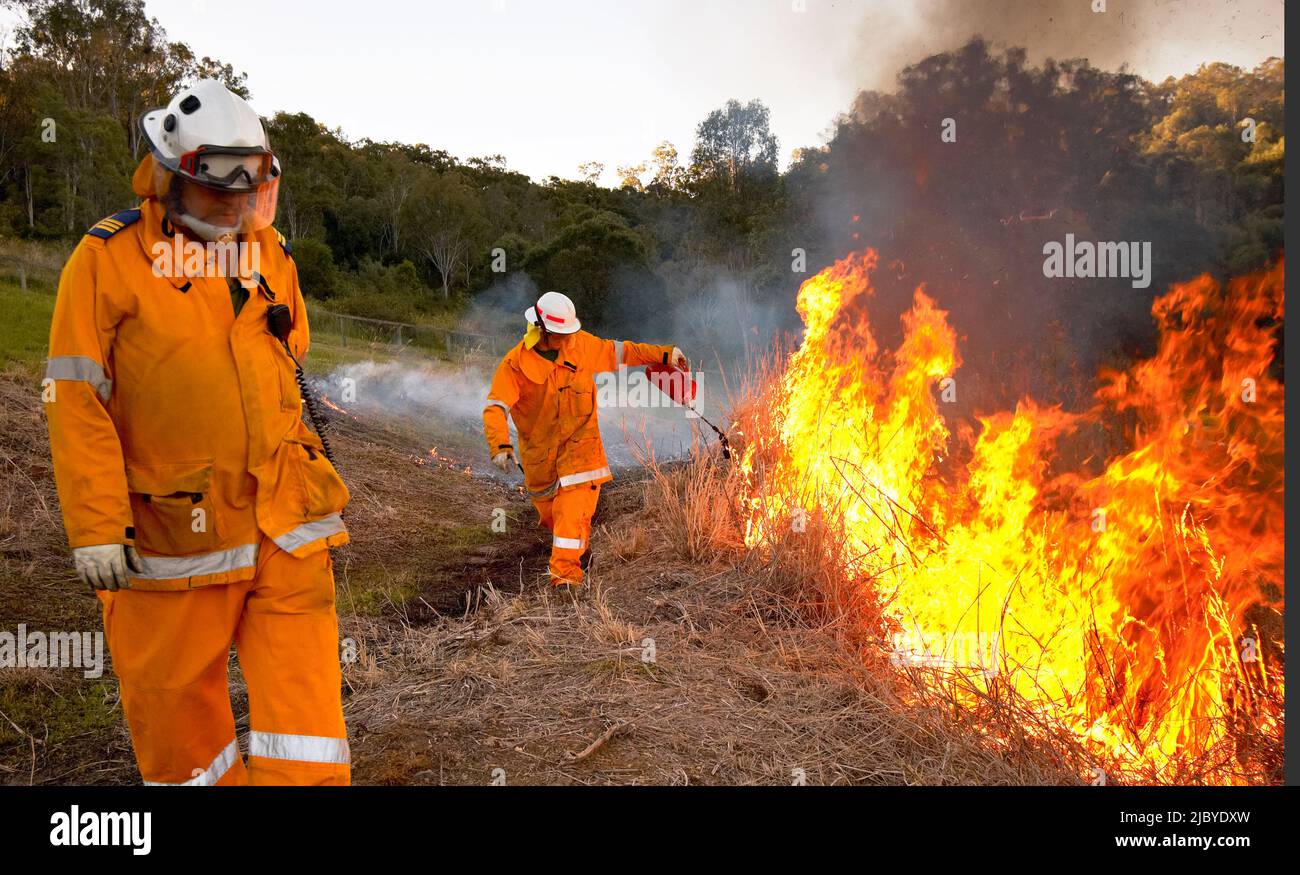 Bomberos en ropa protectora detrás de piso de bosque ardiente Foto de stock