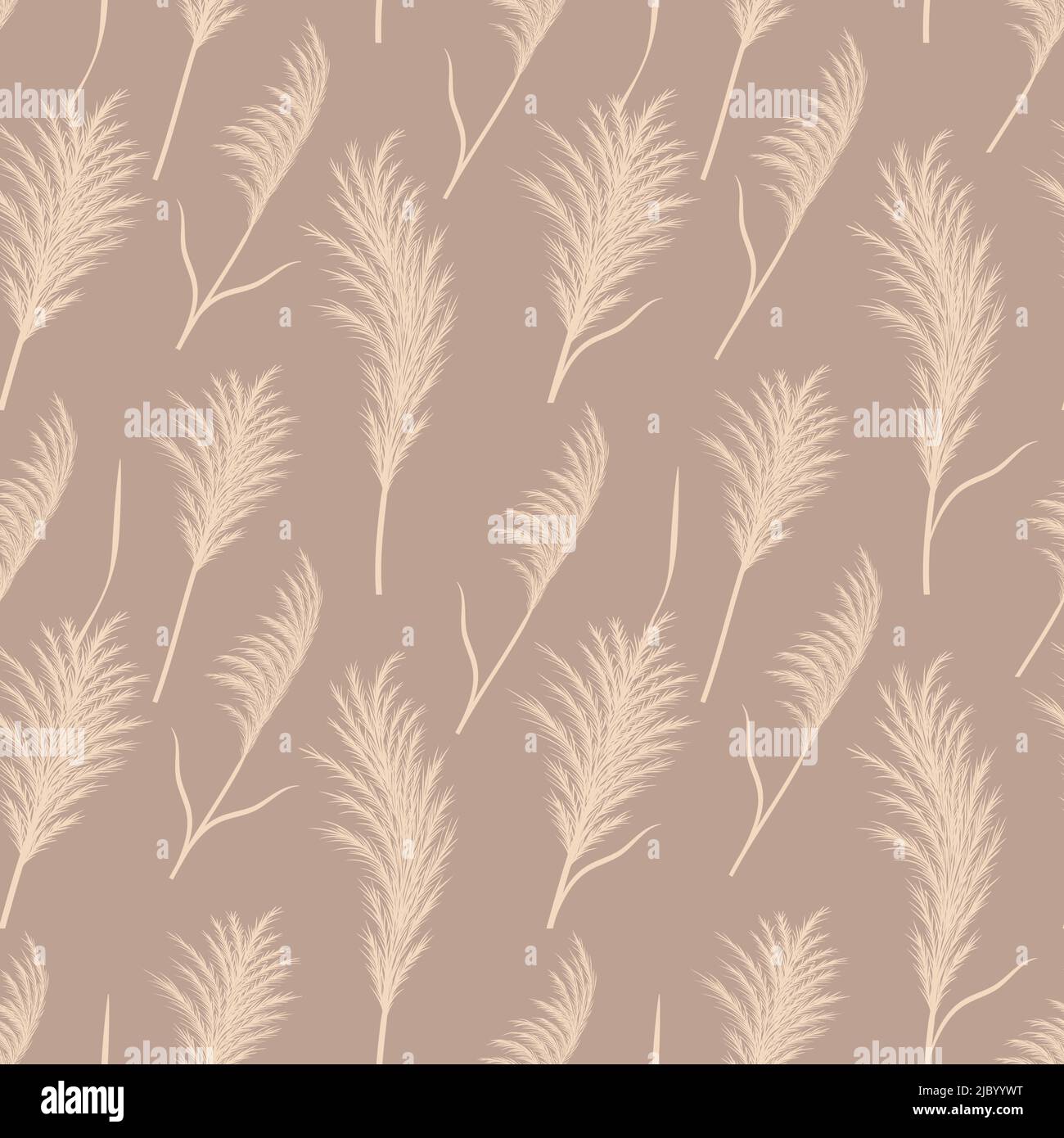 Estampado de pampas sin costuras. Cortaderia vectorial en estilo boho. Otoño de fondo. Diseño moderno para bodas, postales, textiles, papel pintado, tela Ilustración del Vector