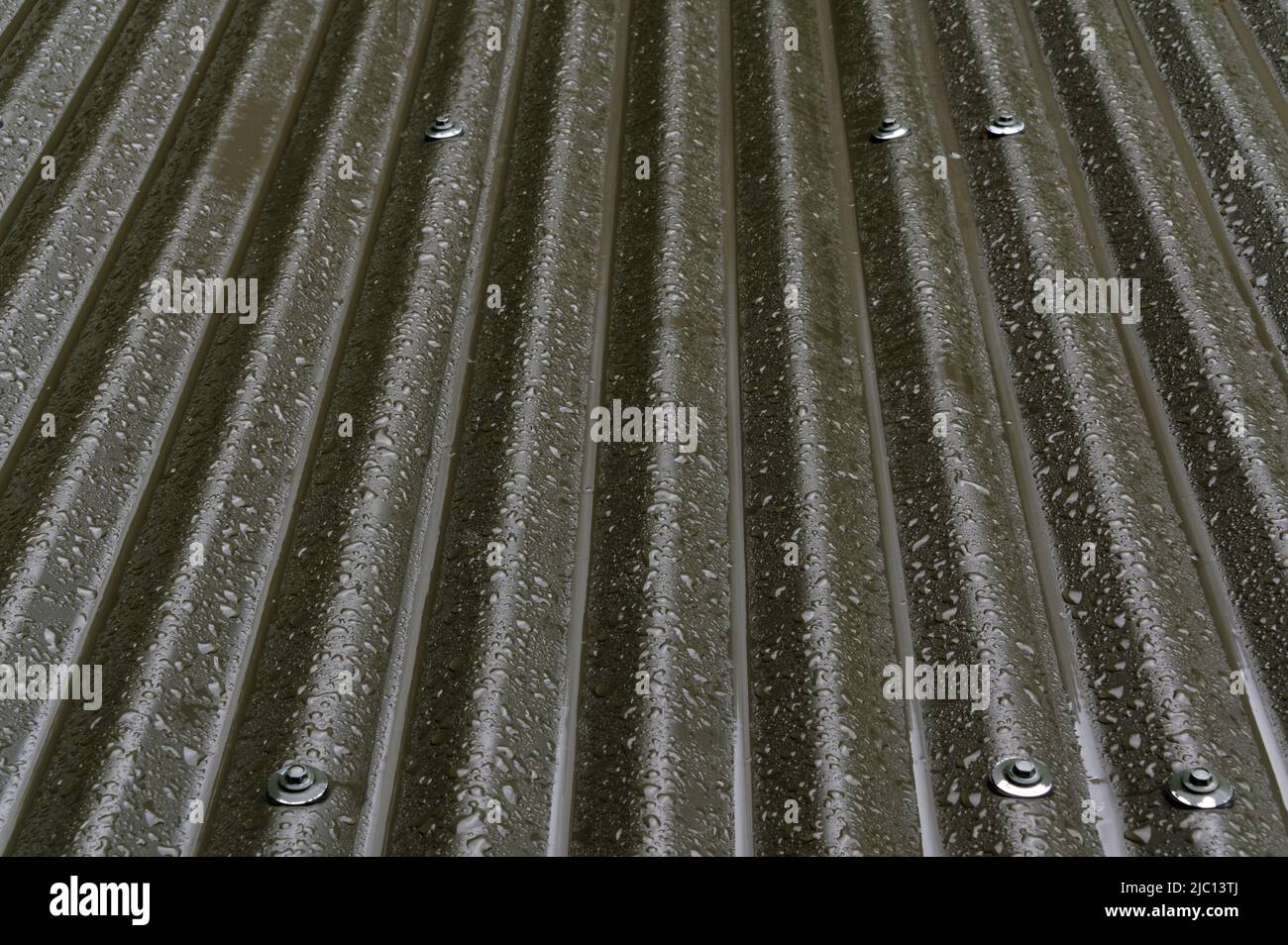 La pintura está saliendo de algunas de las uñas en un techo de hierro corrugado que está siendo lloviendo. Foto de stock