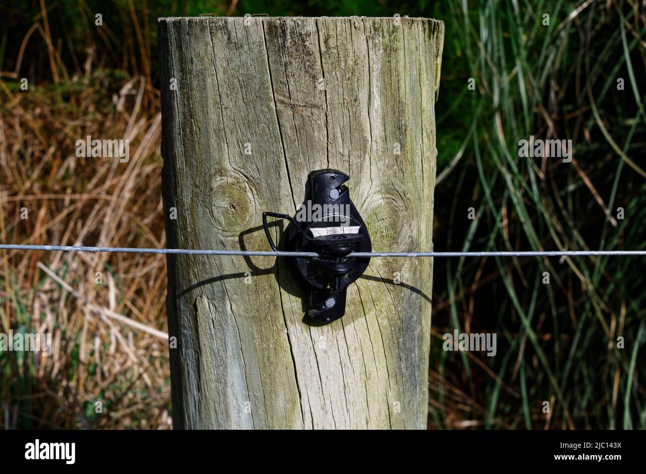 Un aislante en un poste de cerca tiene un alambre eléctrico que pasa a través de él Foto de stock