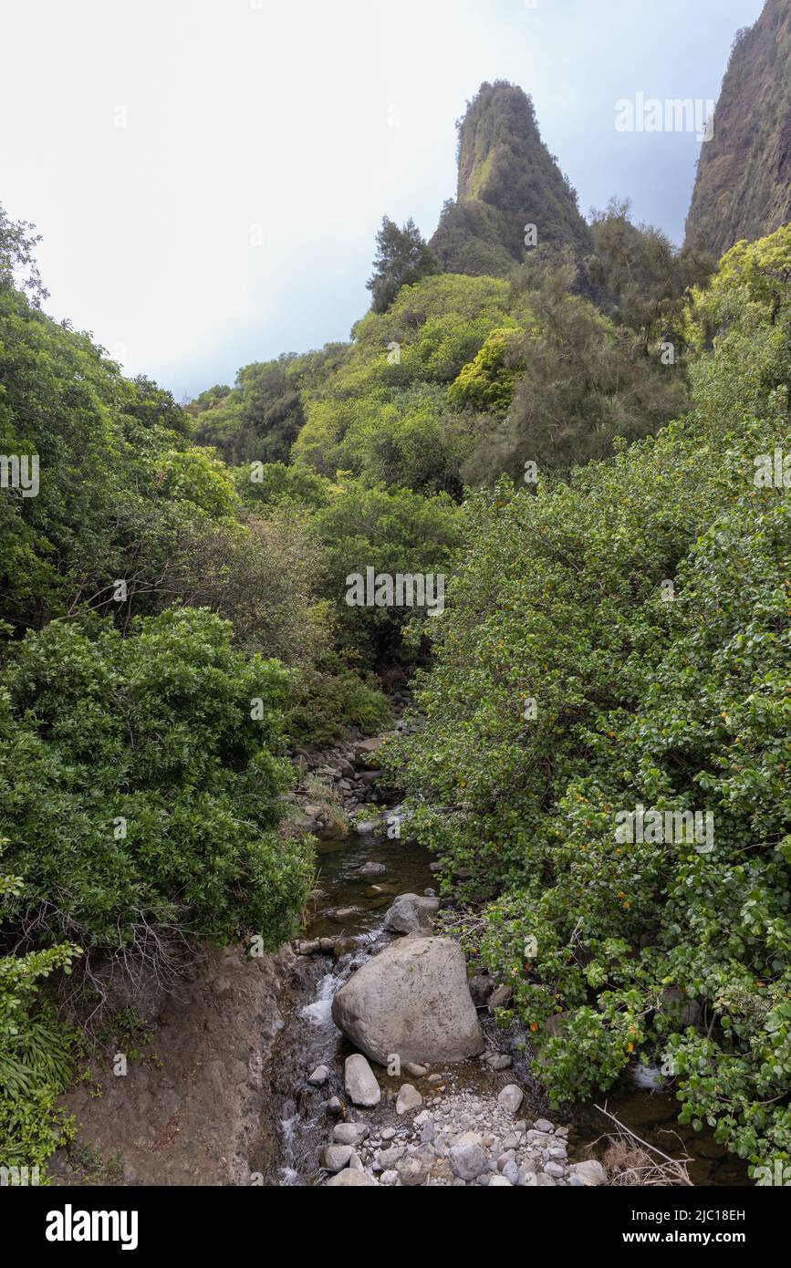 Iao Valley, Iao Needle, Kuka'emoku, aguja de roca verde, EE.UU., Maui, Parque Estatal Iao Valley Foto de stock