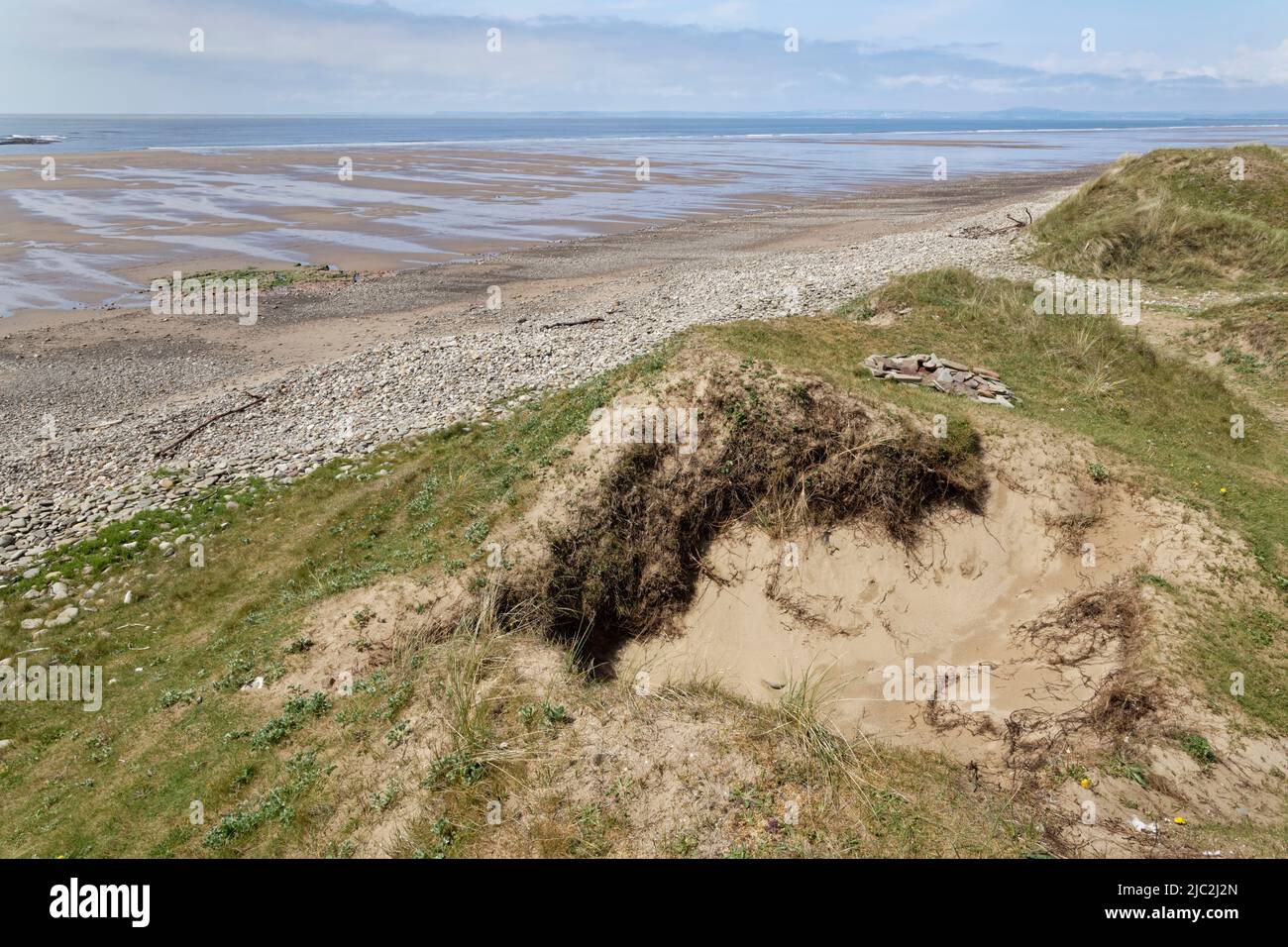 Dunas de arena costeras erosionadas en el frente del mar, posiblemente empeoradas por los daños causados por el fuego de los campamentos a la vegetación y las esteras de raíz, Kenfig NRR, Glamourgan, Gales, Reino Unido, Mayo. Foto de stock