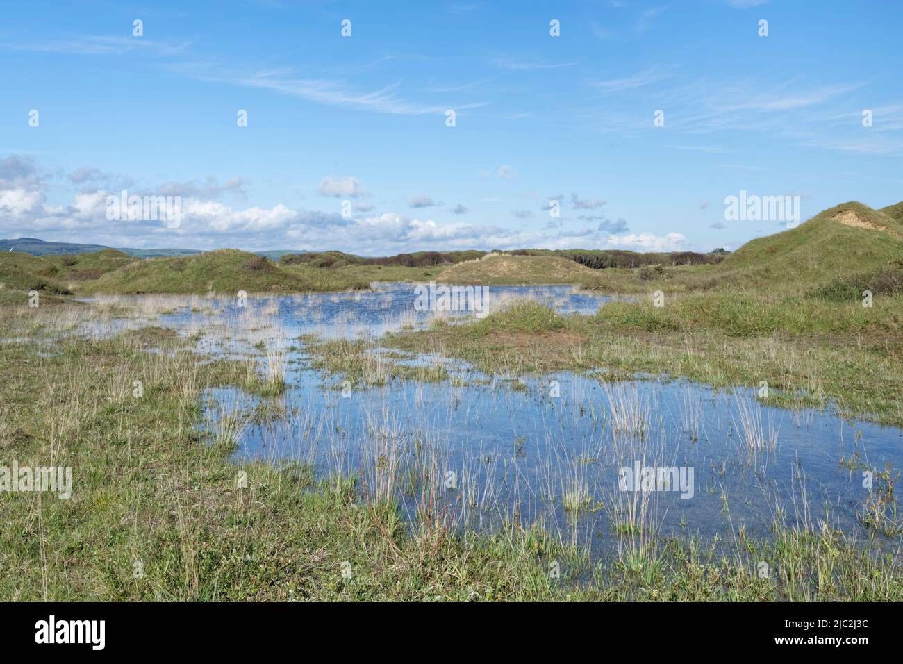 Dunas de arena costeras y dunas parcialmente inundadas, Kenfig NRR, Glamourgan, Gales, Reino Unido, Mayo. Foto de stock