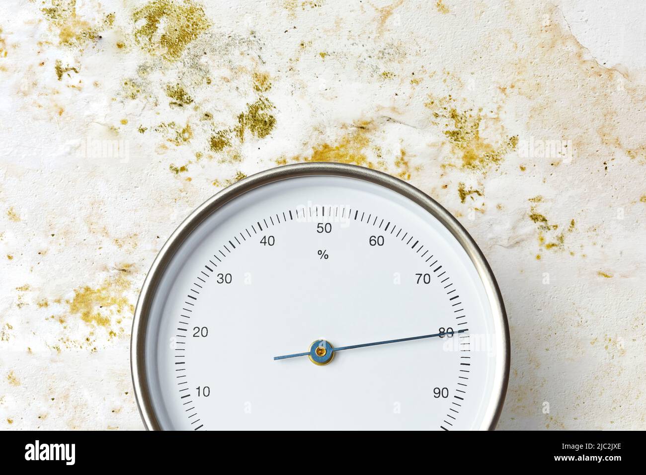 Higrómetro analógico o medidor de humedad que mide 80% de humedad frente a una pared blanca cubierta de moho amarillo y verde. Foto de stock