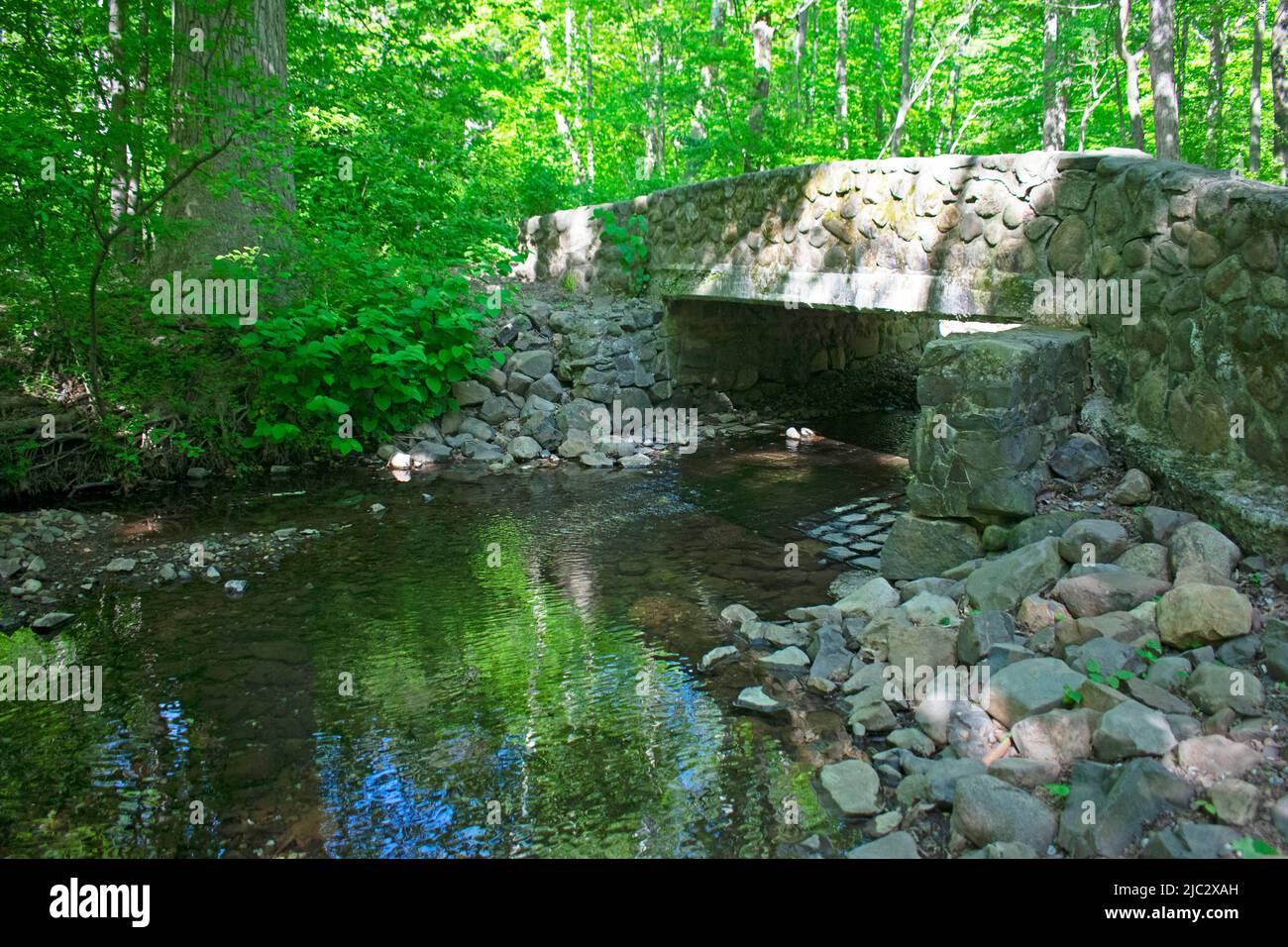 Pequeño puente de piedra en el sendero natural cerca de Hemlock Falls en South Mountain Reservation, Essex County, Nueva Jersey -03 Foto de stock