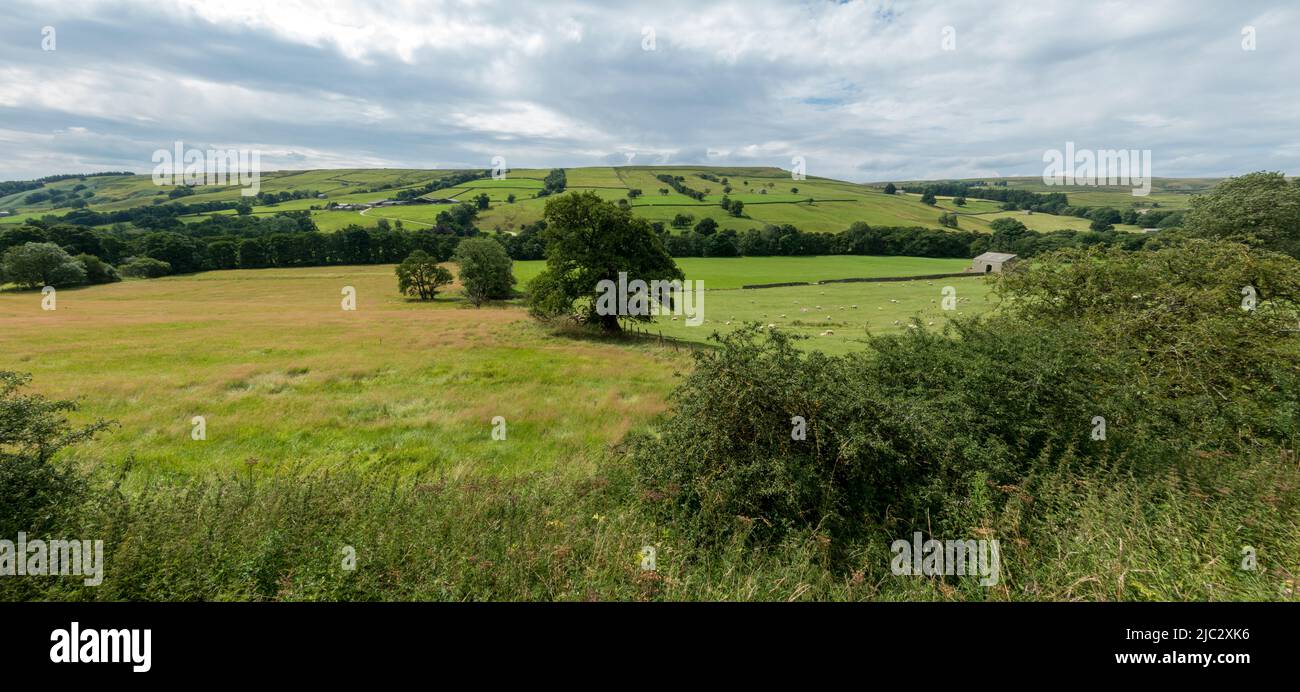 Vista panorámica de un impresionante campo de campos típico en el Parque Nacional Yorkshire Dales, Inglaterra. Foto de stock