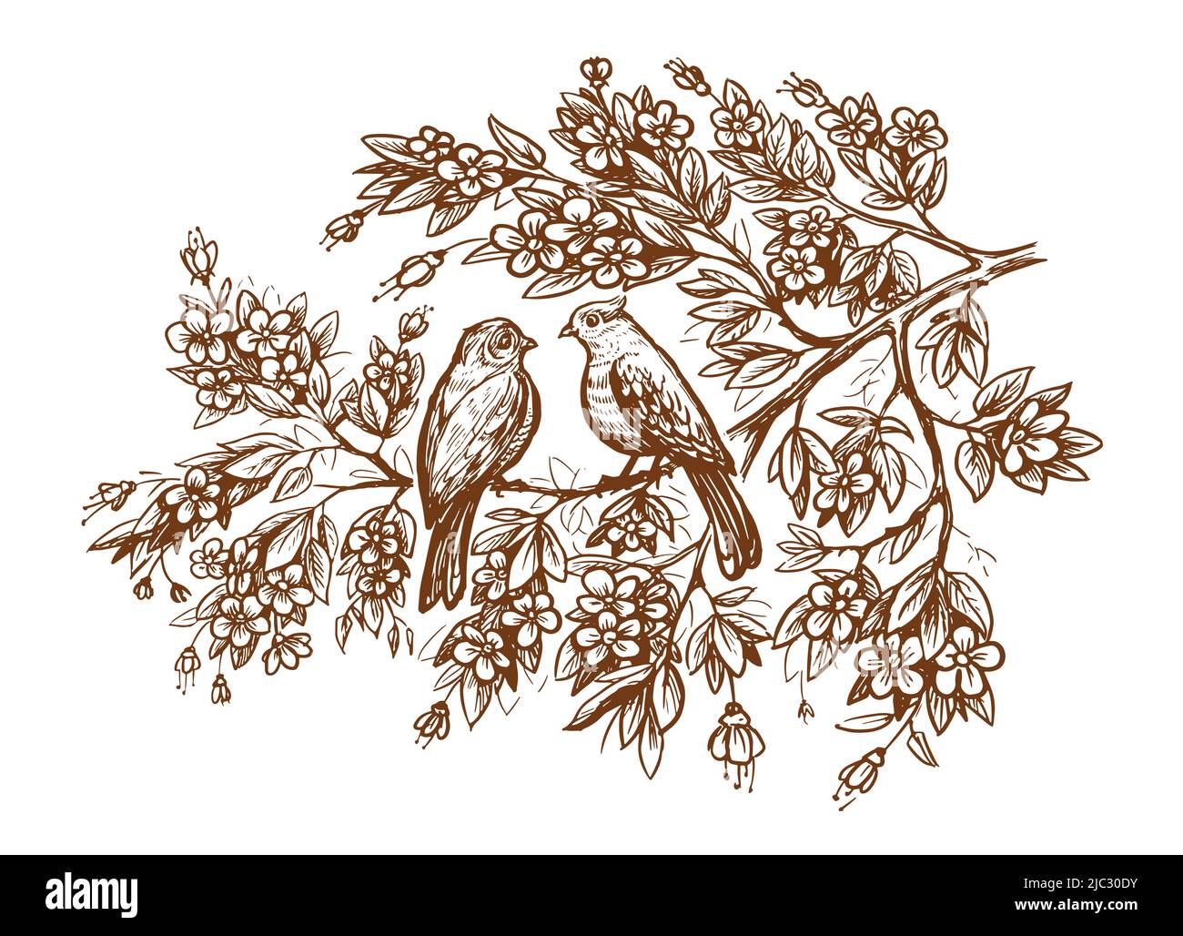 Lindos pájaros con dibujo de rama de árbol. Vector de concepto de amor
