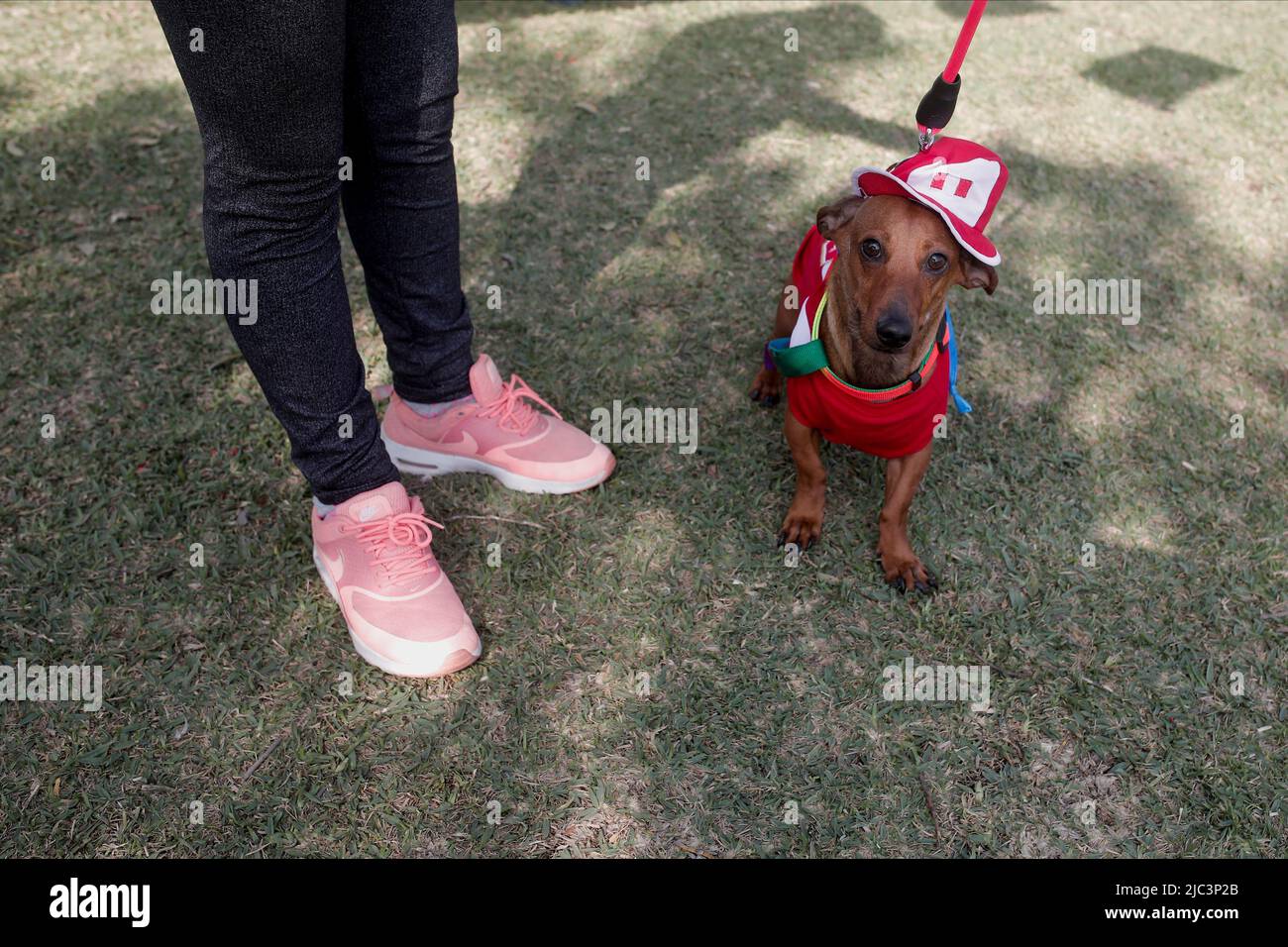 Dog dressed as human fotografías e imágenes de alta resolución - Página 10  - Alamy
