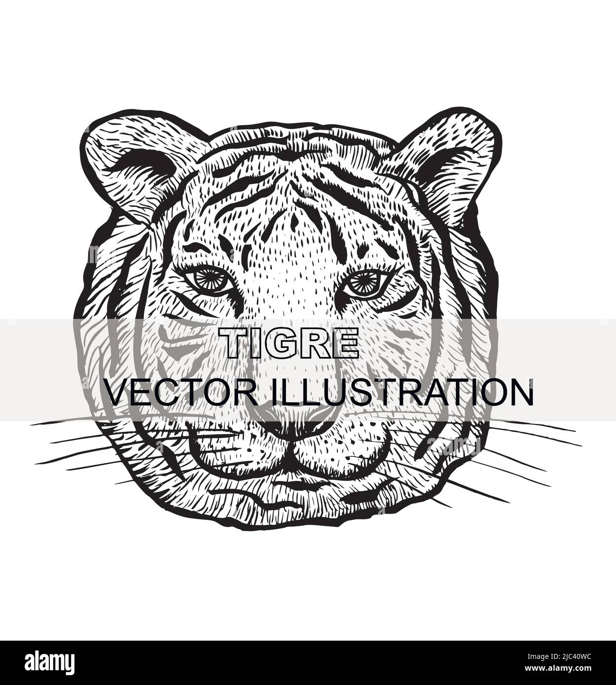 Ilustración con un tigre. Ilustración vectorial. Arte lineal con tigre. Ilustración del Vector