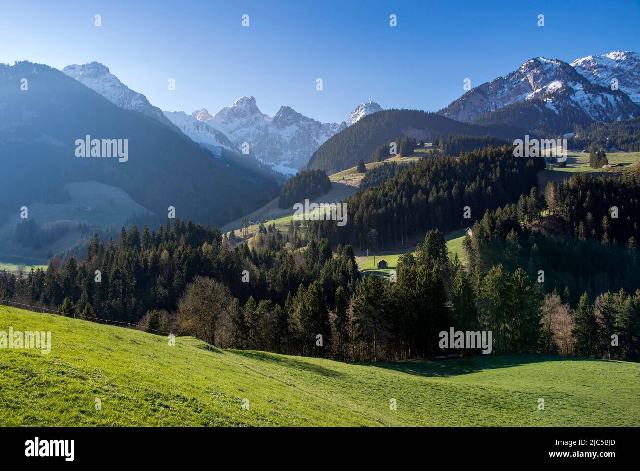 Suisse, Schweiz, Suiza, Vaud, Waadt, Pays-d'Enhaut, montagne, montagnes, Berg, Berge, Montaña, montañas, chalet, chalet, ferme, Granja, Bauernha Foto de stock