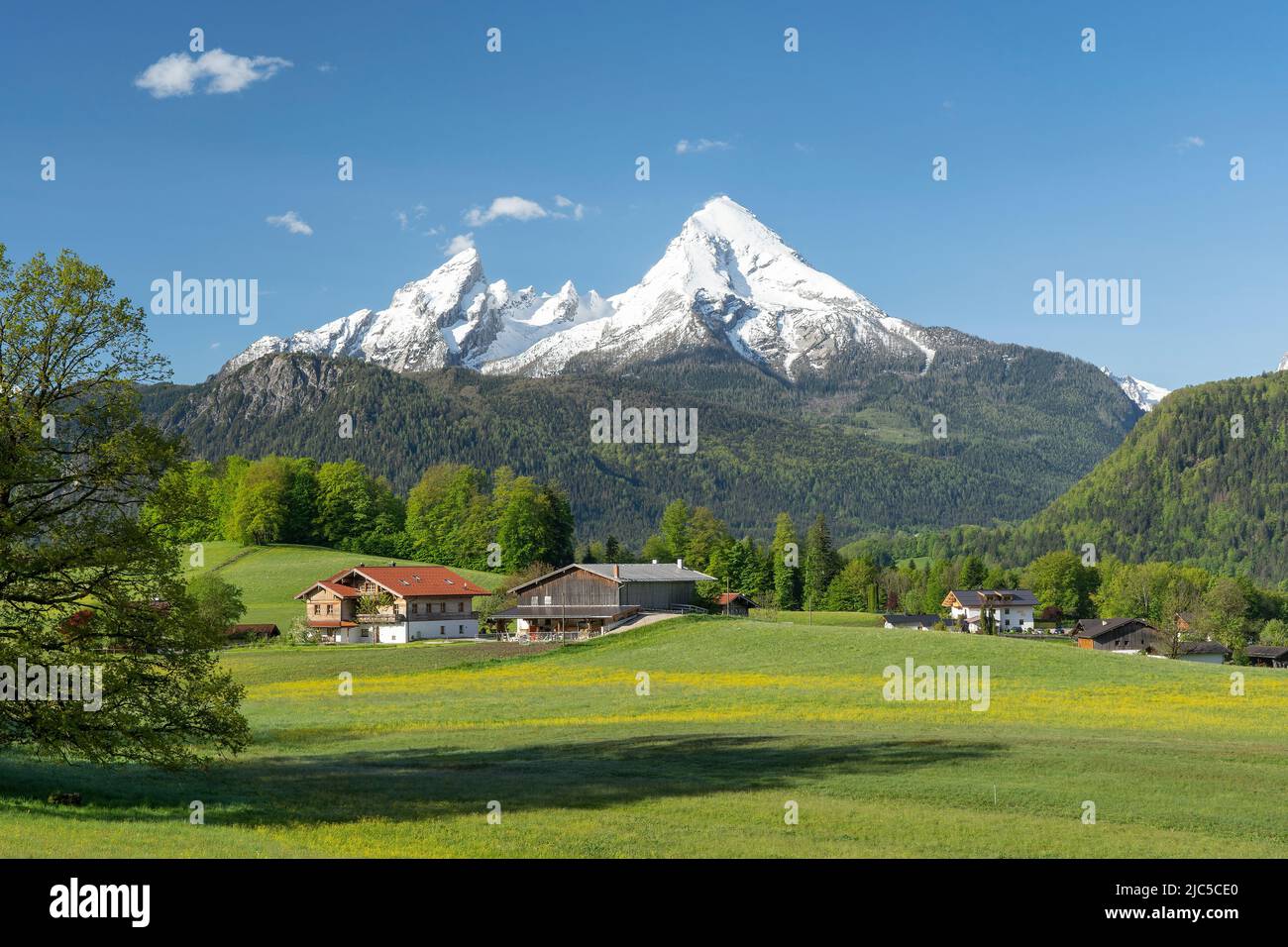 Blick zum imposanten Watzmannmassiv (2713 mtr) im südlichen Teil des Berchtesgadener Landes, Deutschland Berchtesgaden - Bischofswiesen *** Cap local Foto de stock
